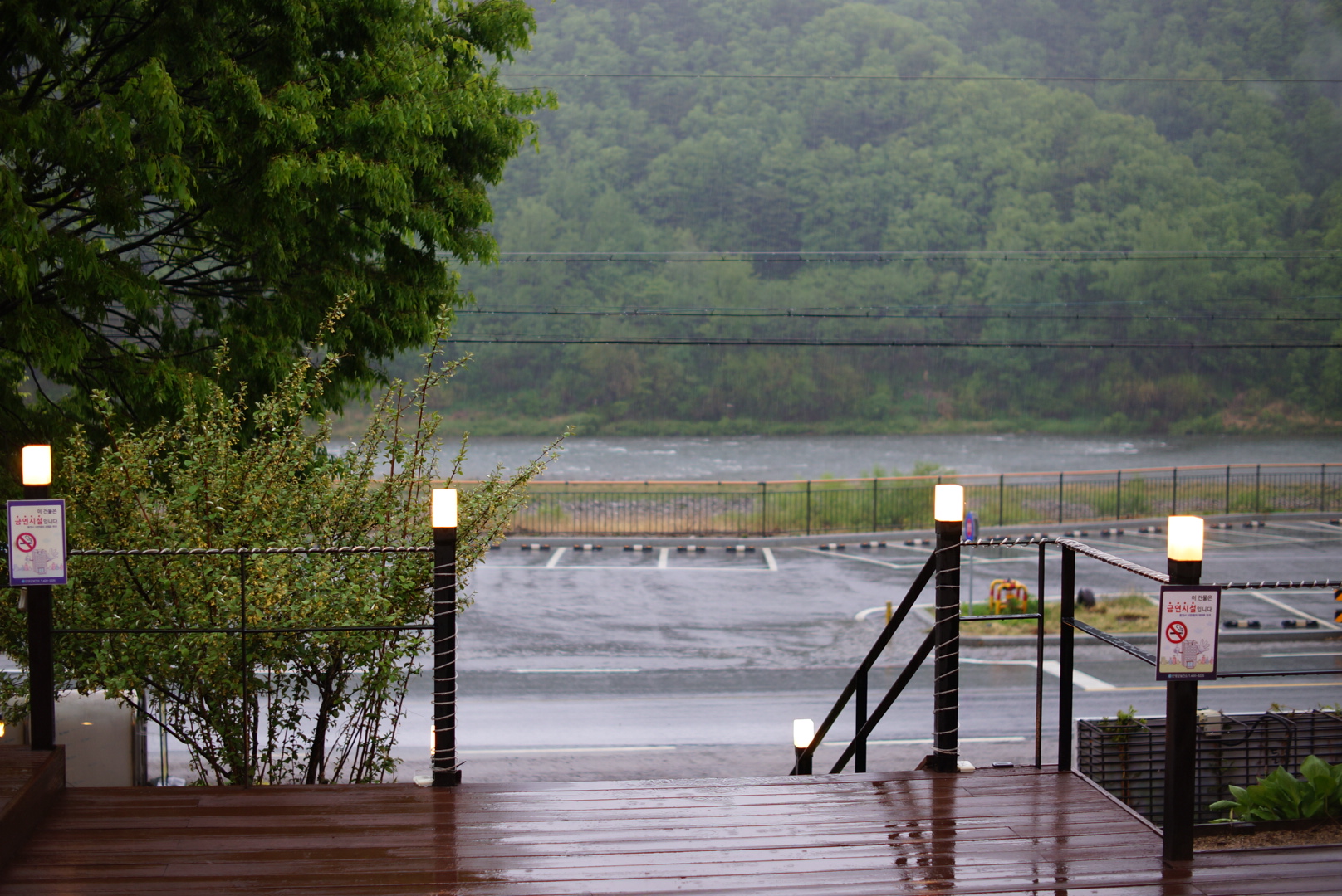 리버빈스 이미지