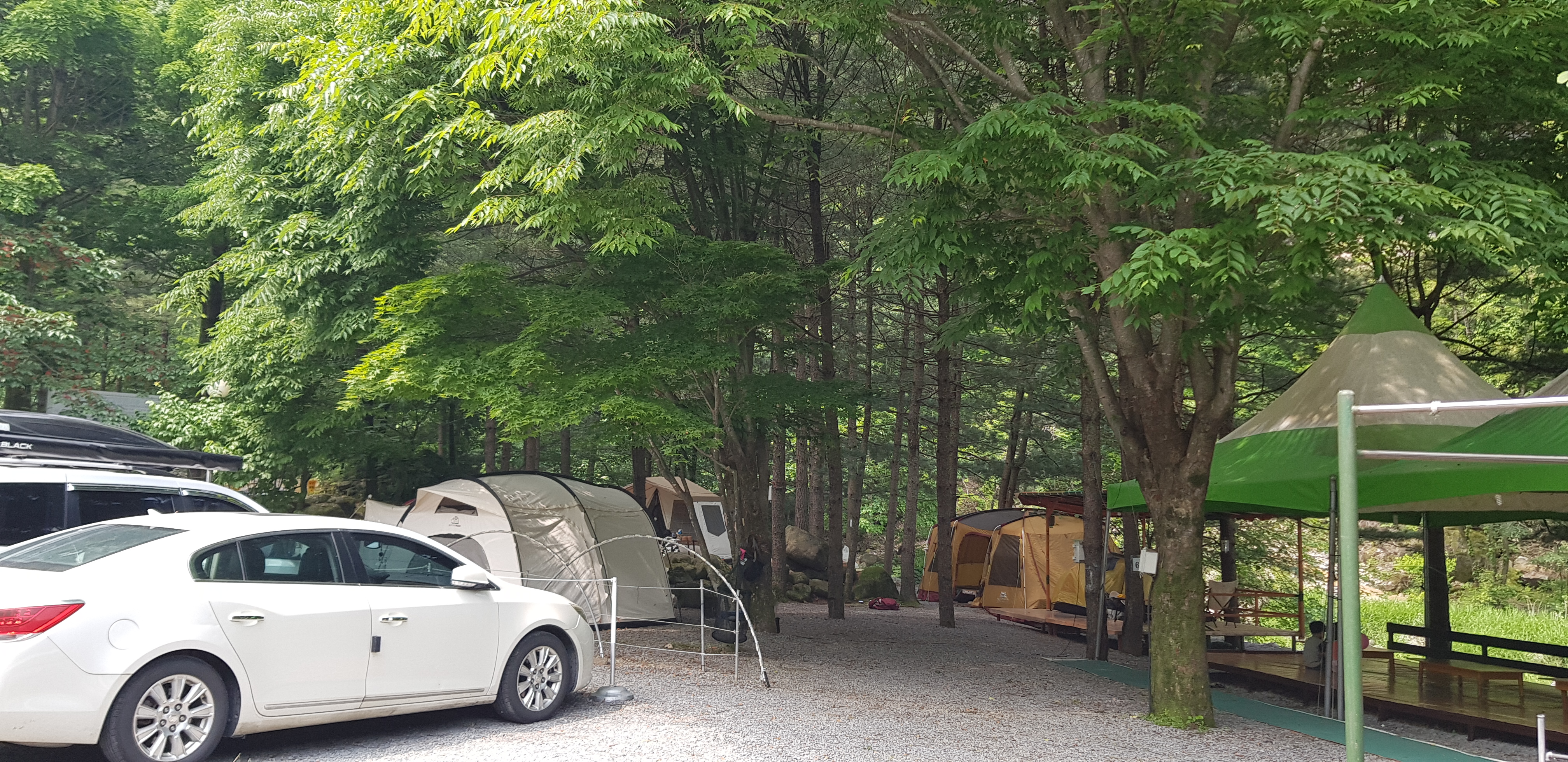 단양천동계곡캠핑장 그린농원 이미지