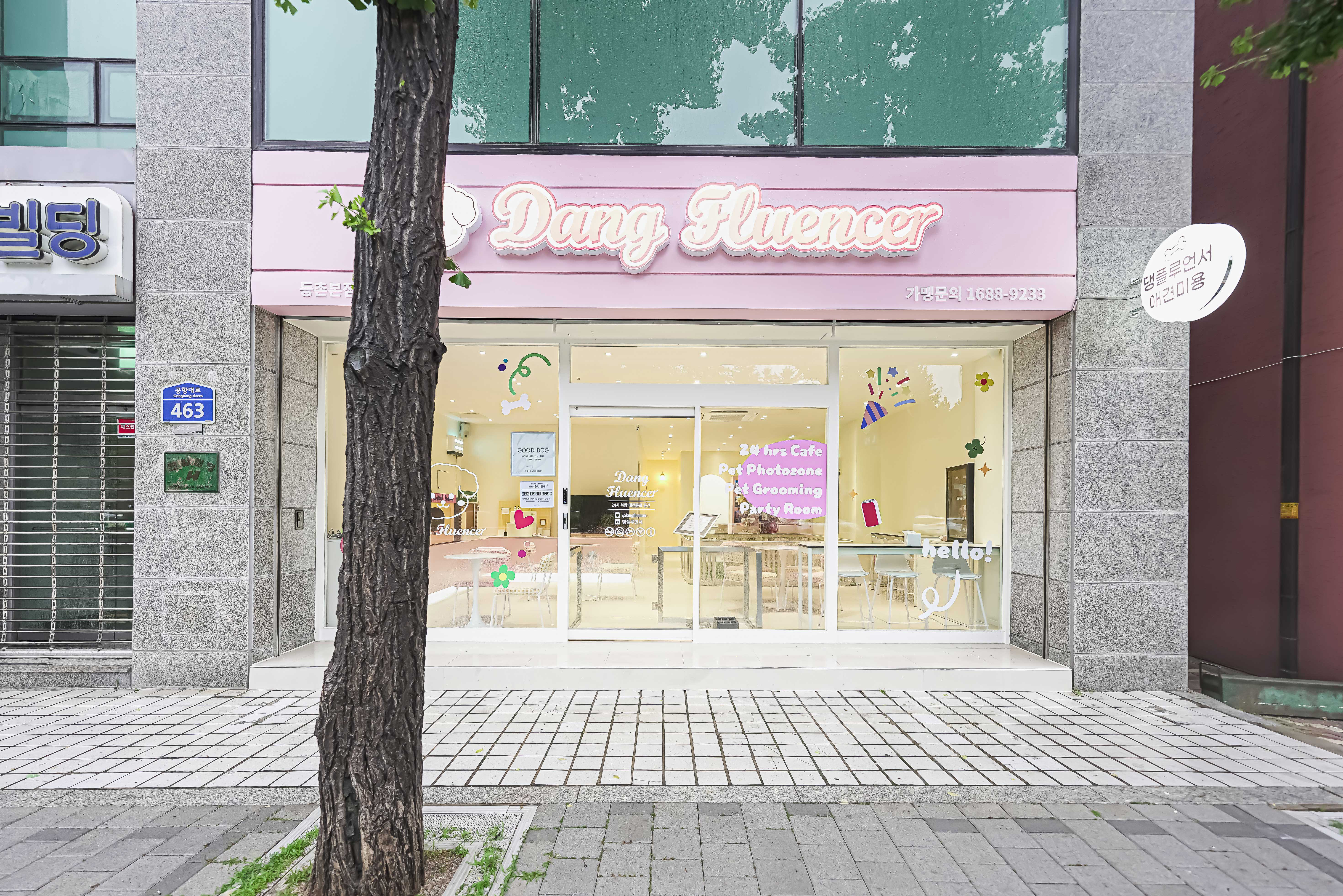 댕플루언서