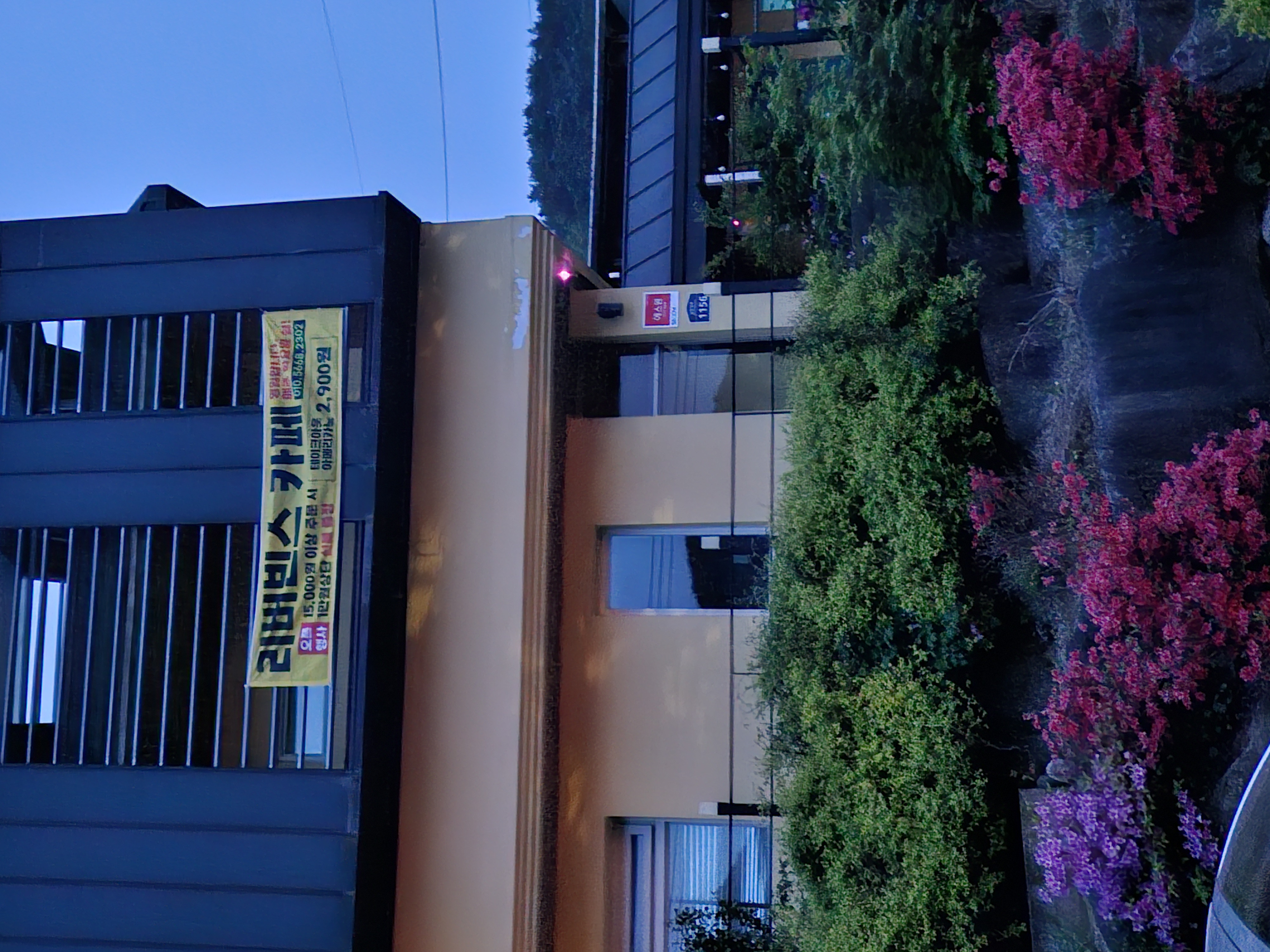 리버빈스 이미지