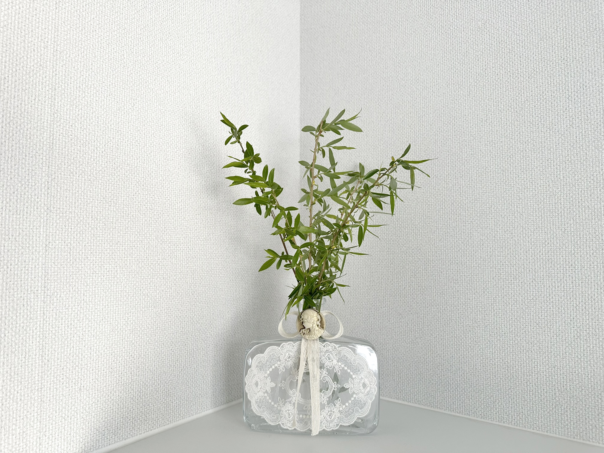 소백스테이 이미지