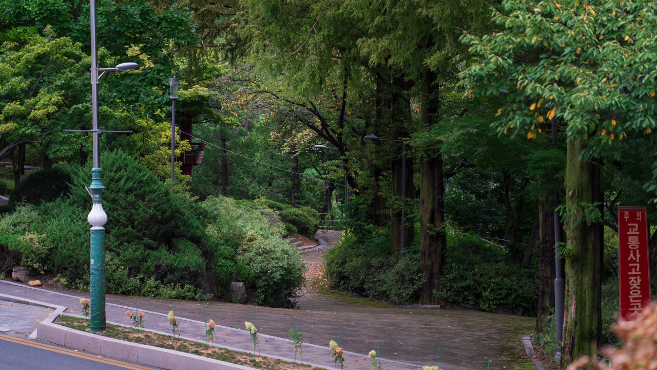 단양맛집 비원쏘가리 & 떡갈비 이미지