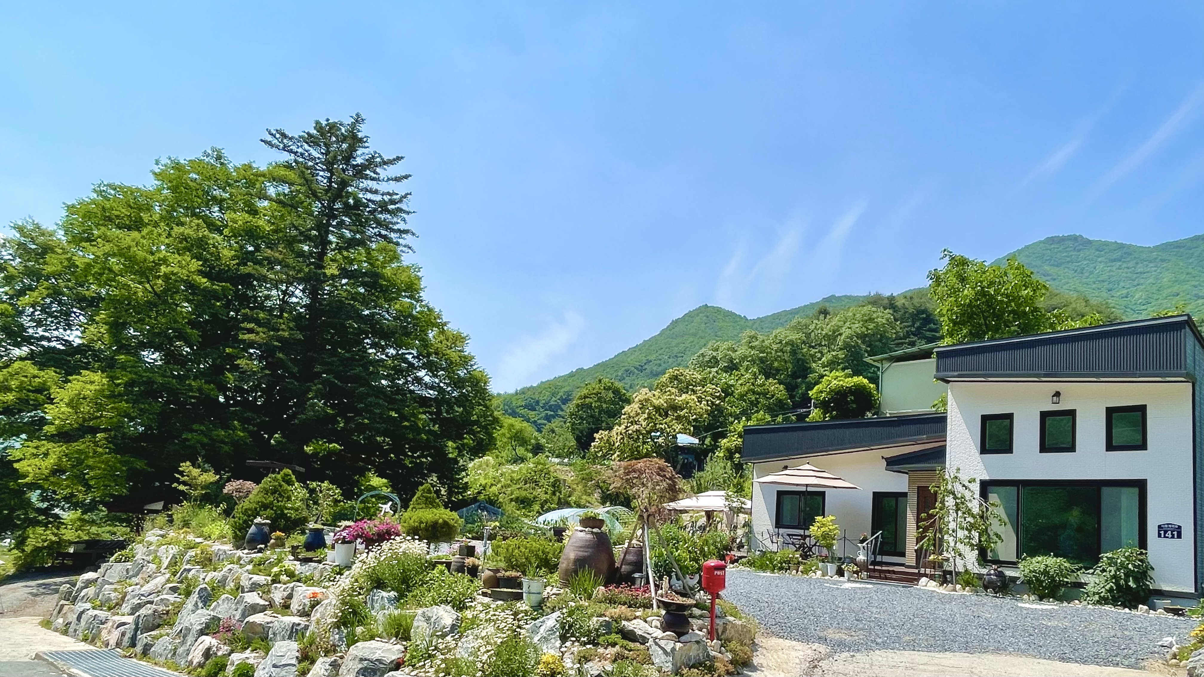 더 트리 홈 이미지