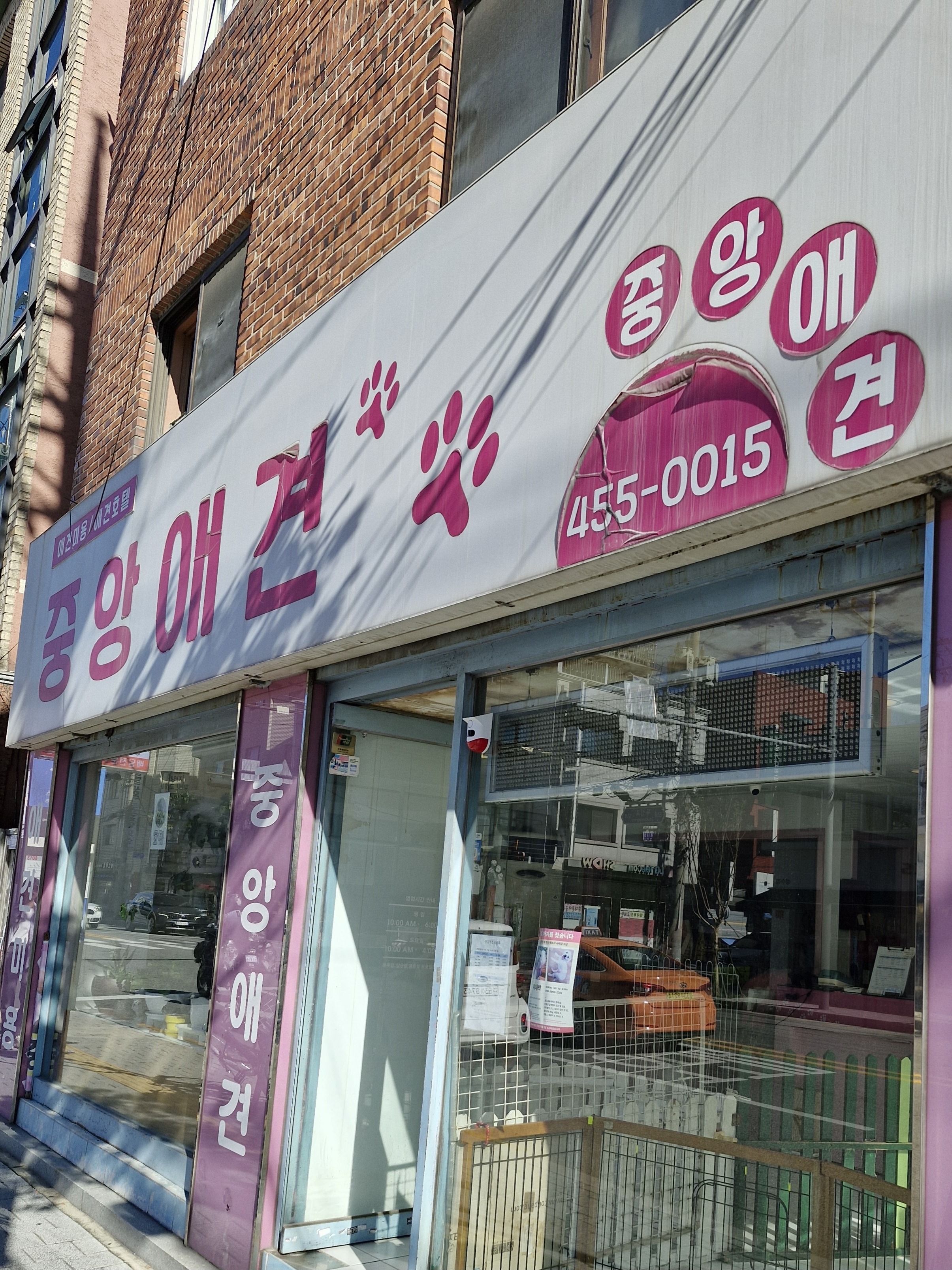 중앙애견