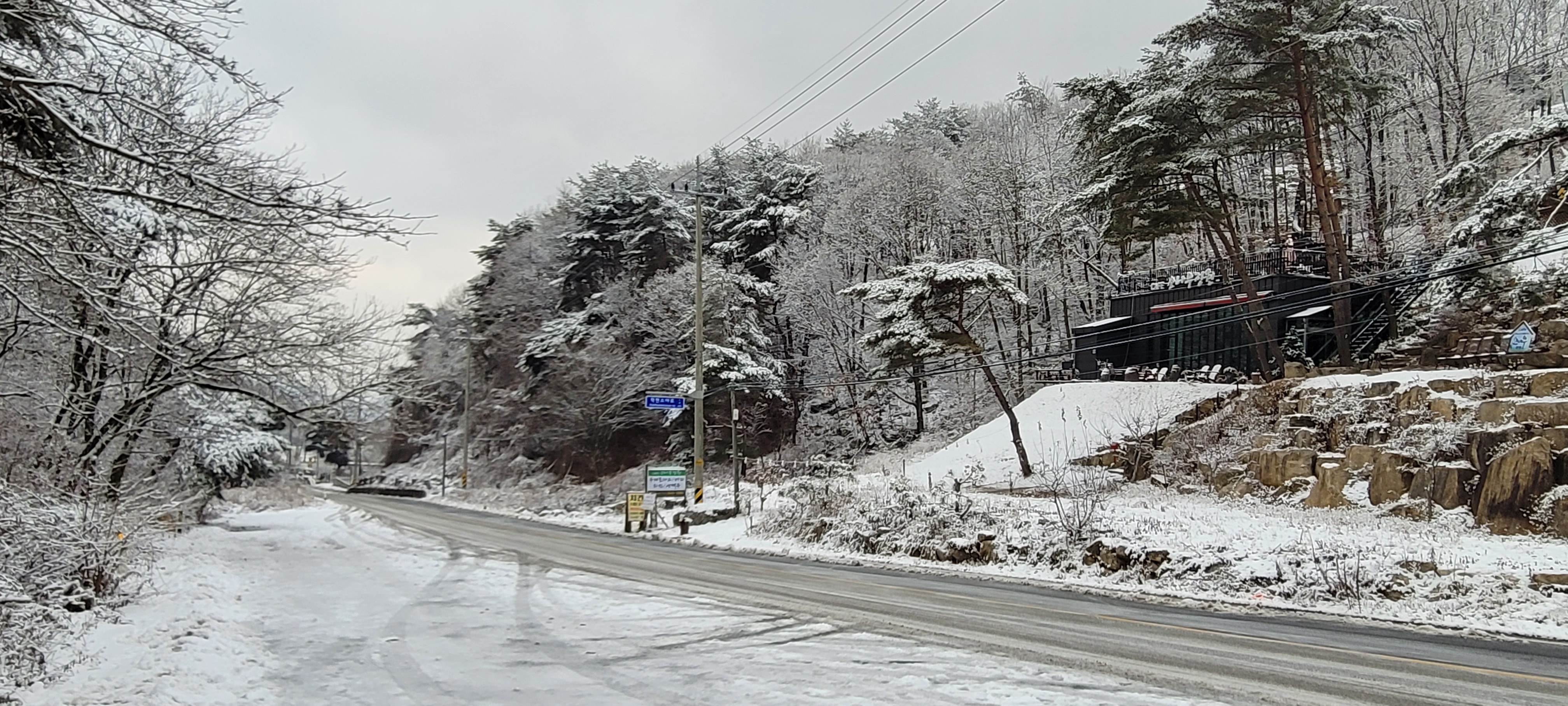 소나무정원화덕피자 이미지