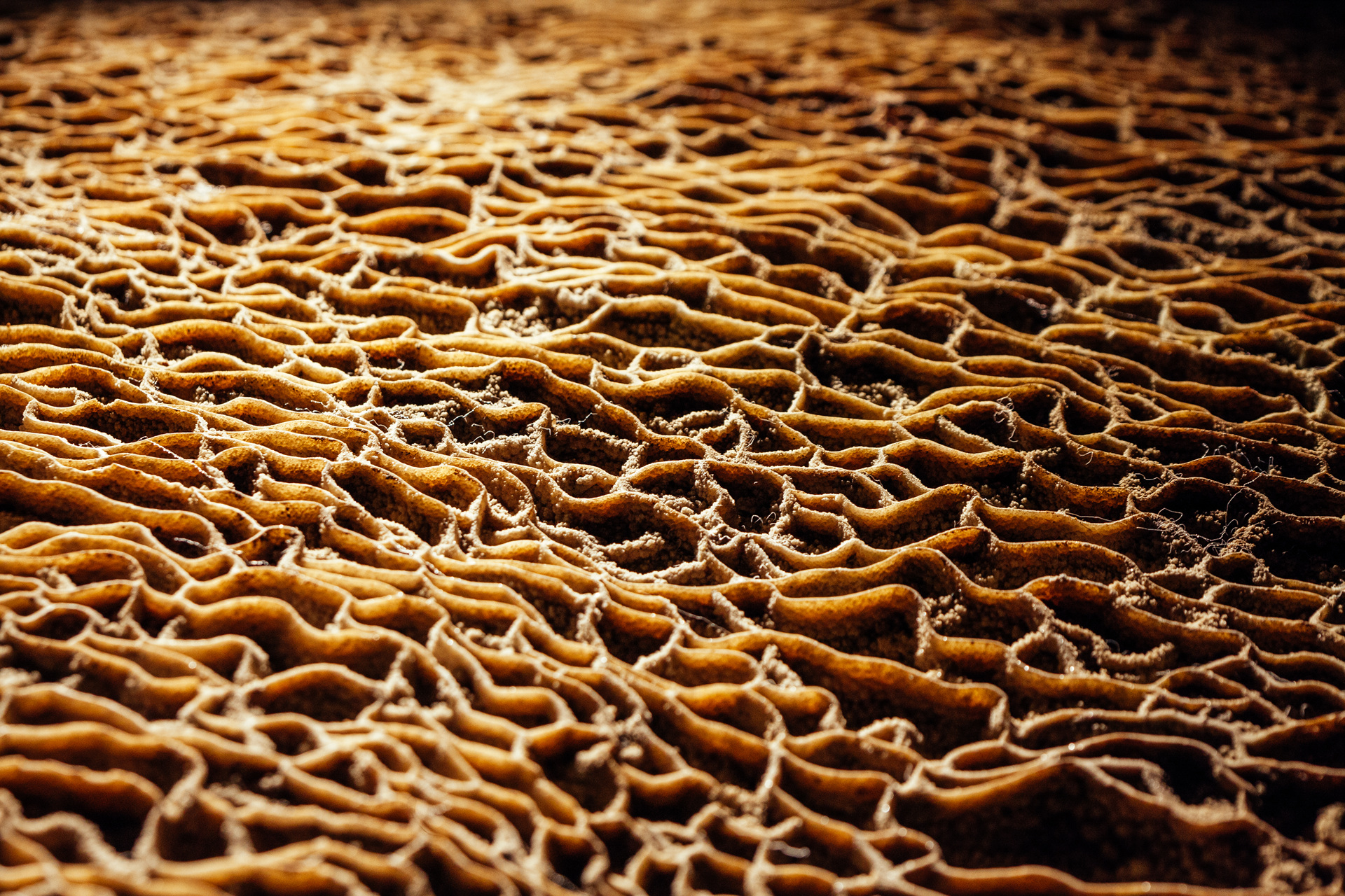 단양 고수동굴 이미지