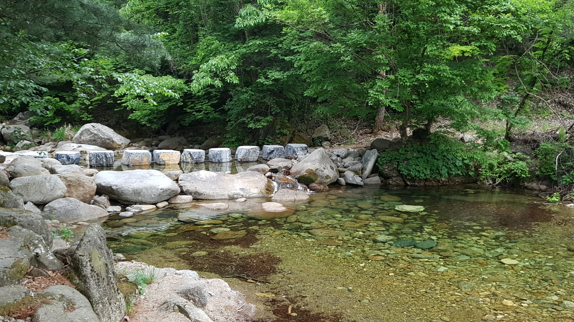단양천동계곡캠핑장 그린농원 이미지