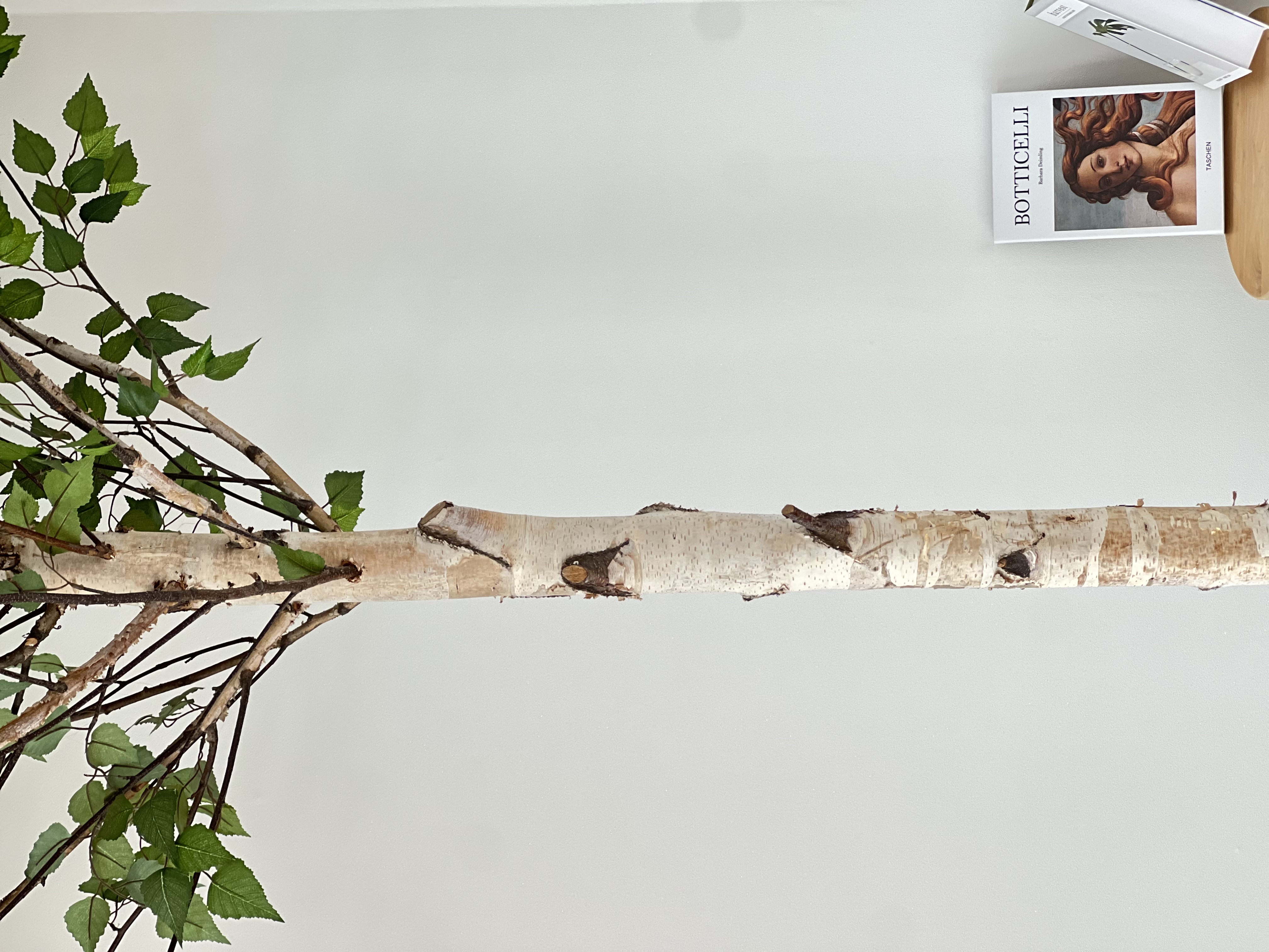 단양파빌리온하우스 이미지