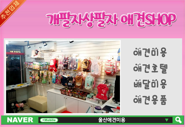 개팔자상팔자