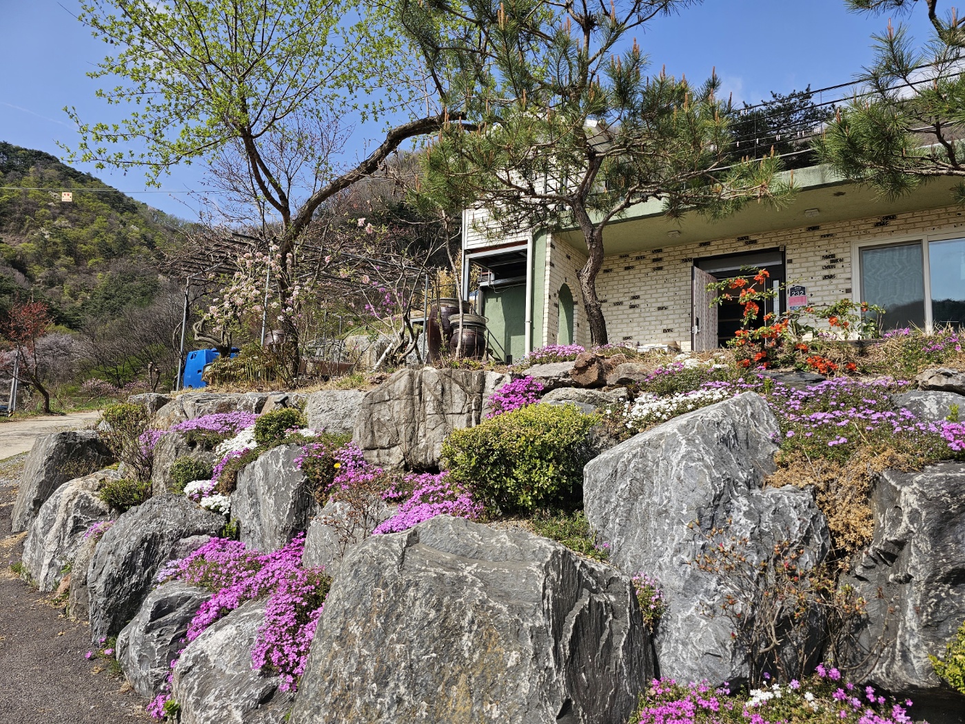 단양별마루캠핑장 이미지