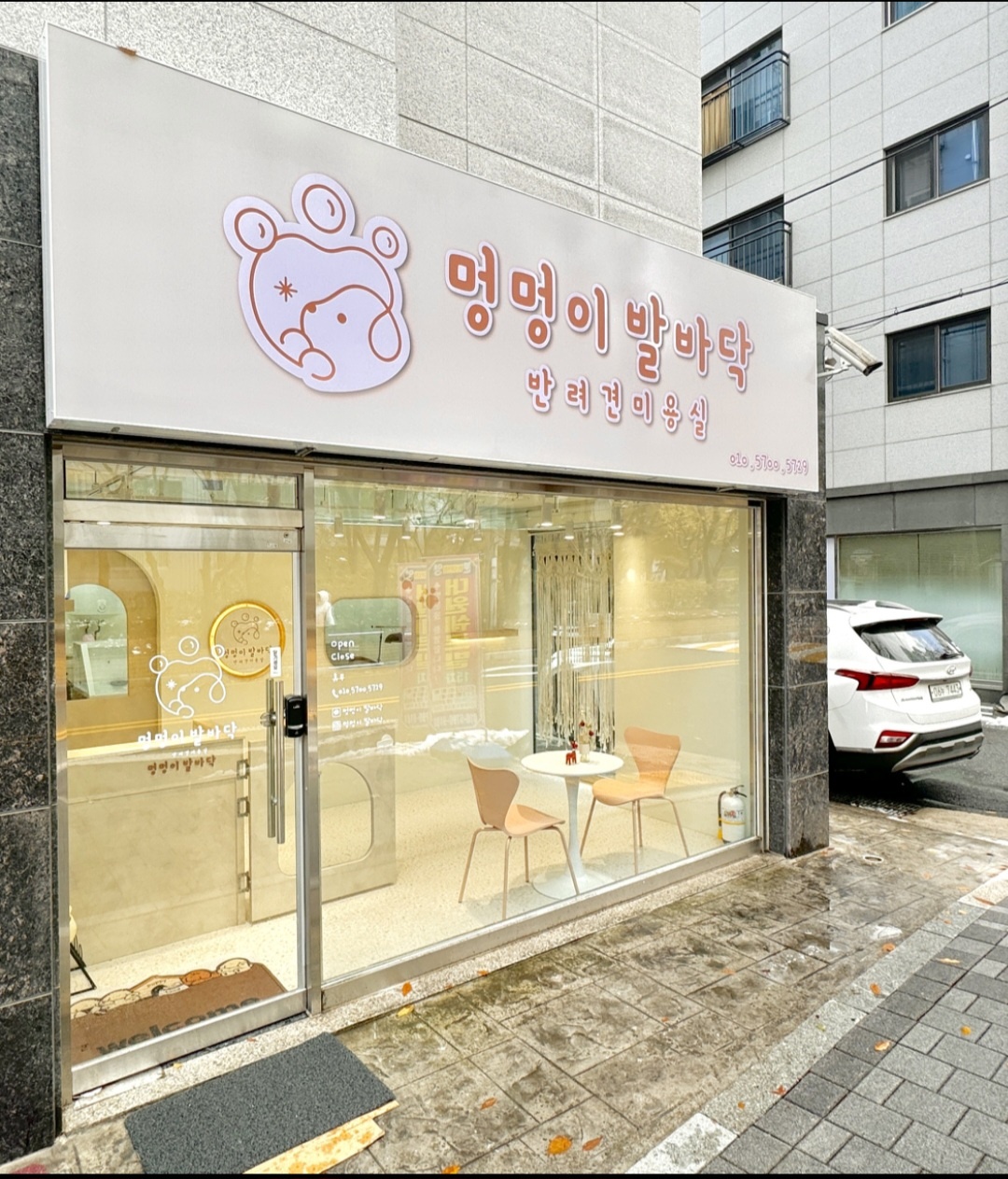 멍멍이발바닥