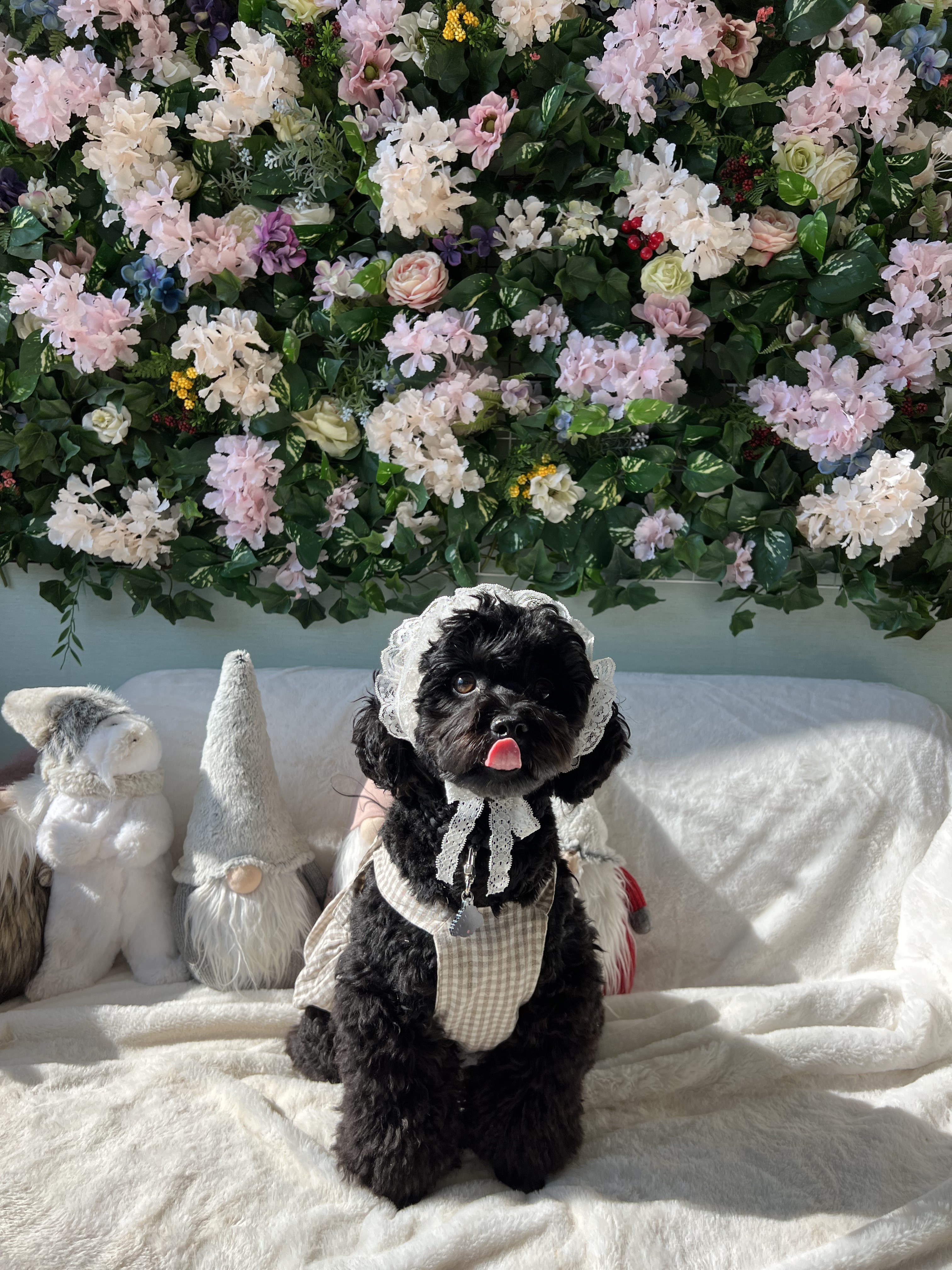 온댕