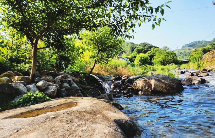 꽃뜨락단양펜션 이미지