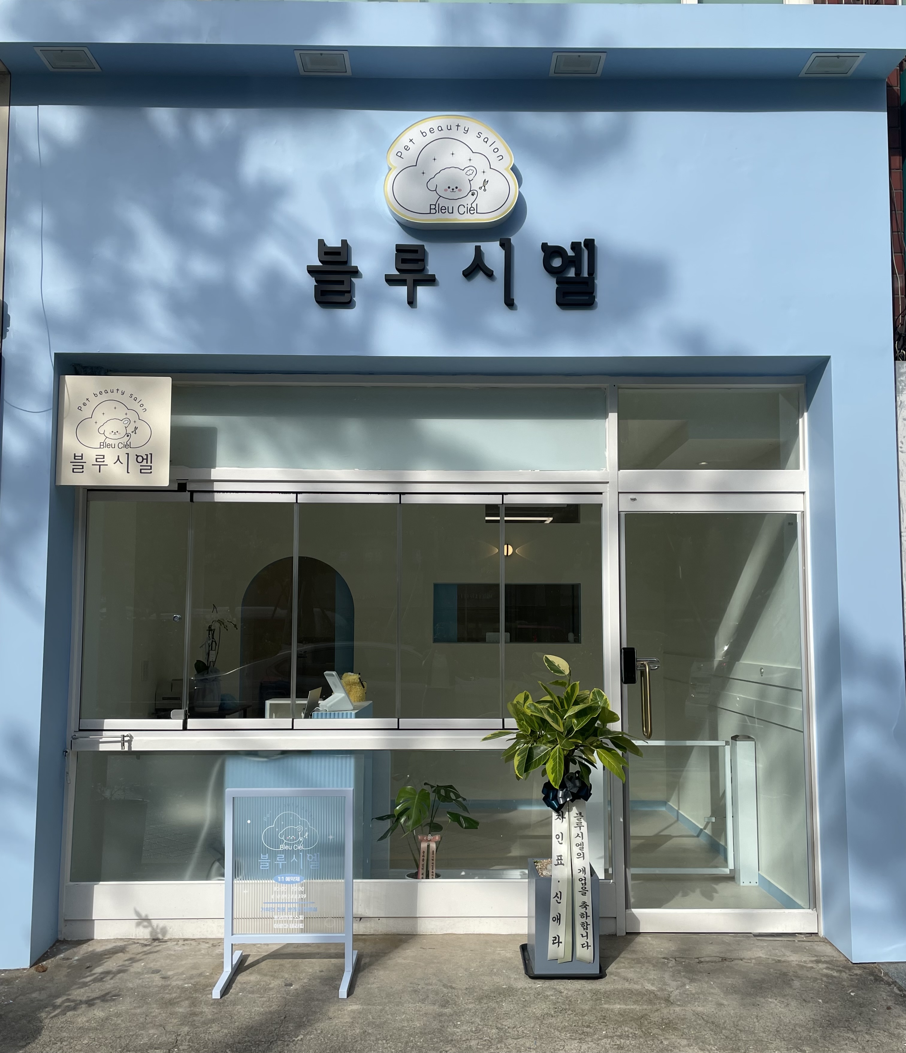 블루시엘