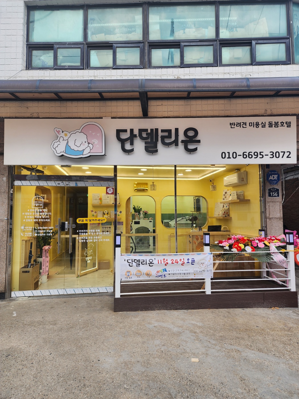 단델리온 견살롱