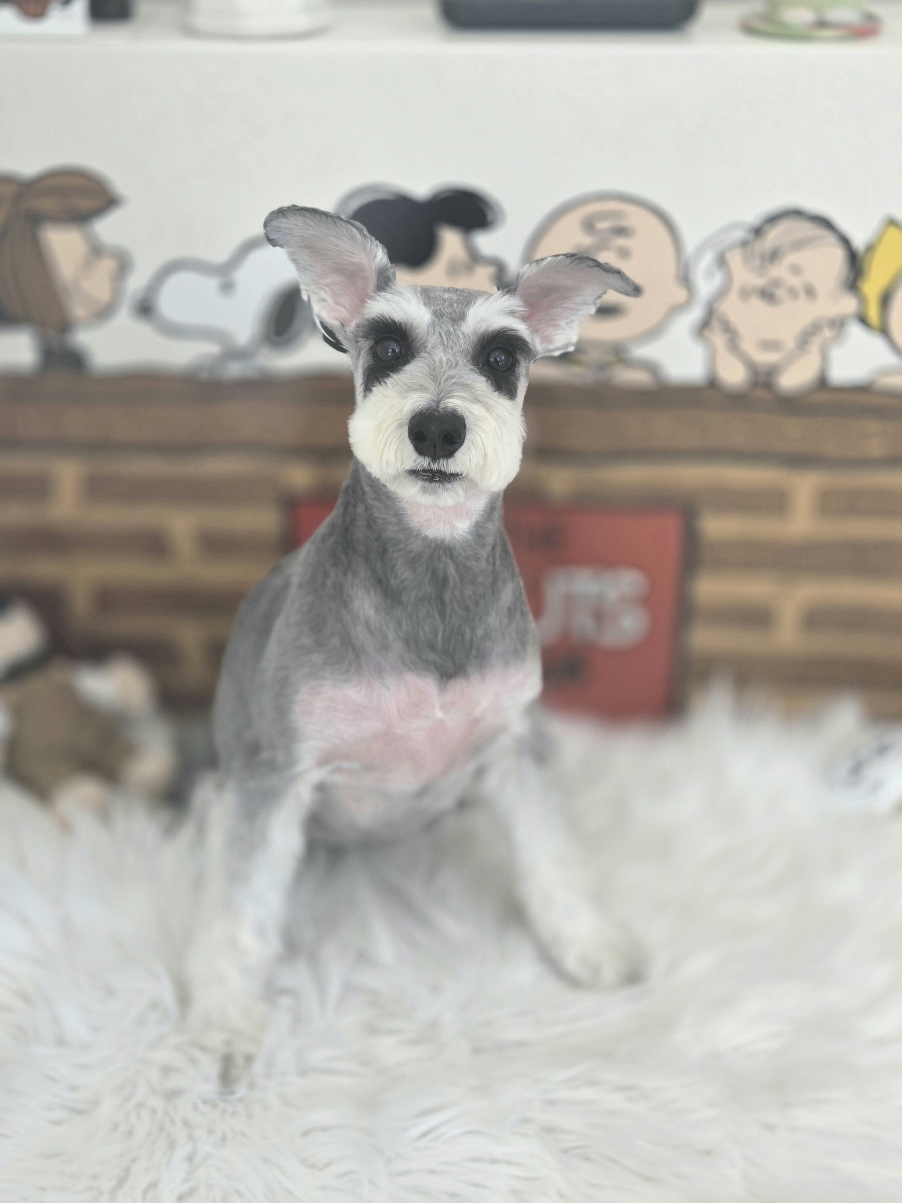 멍테일즈