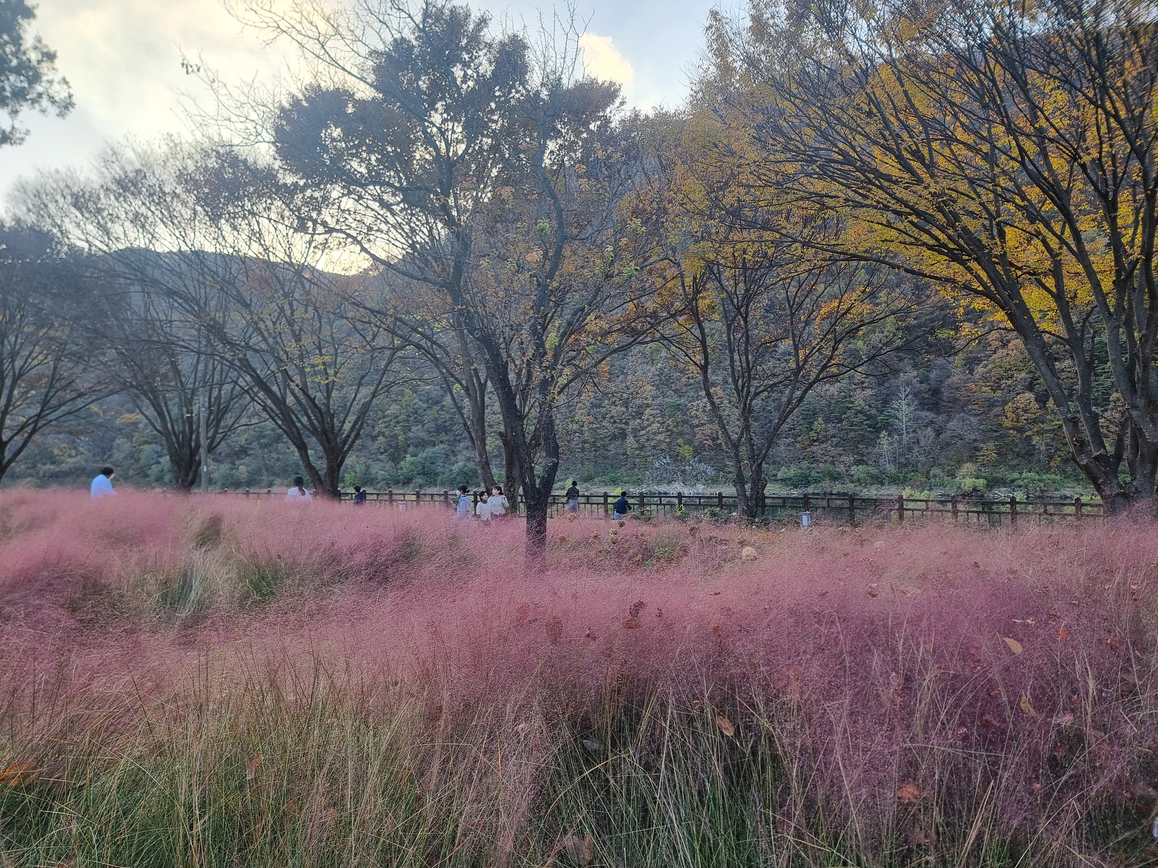 가곡할배민박 이미지