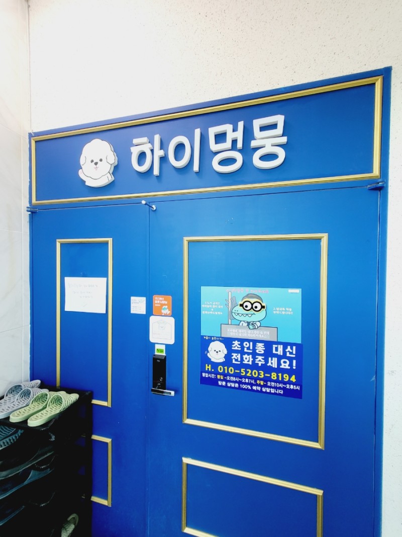 하이멍뭉
