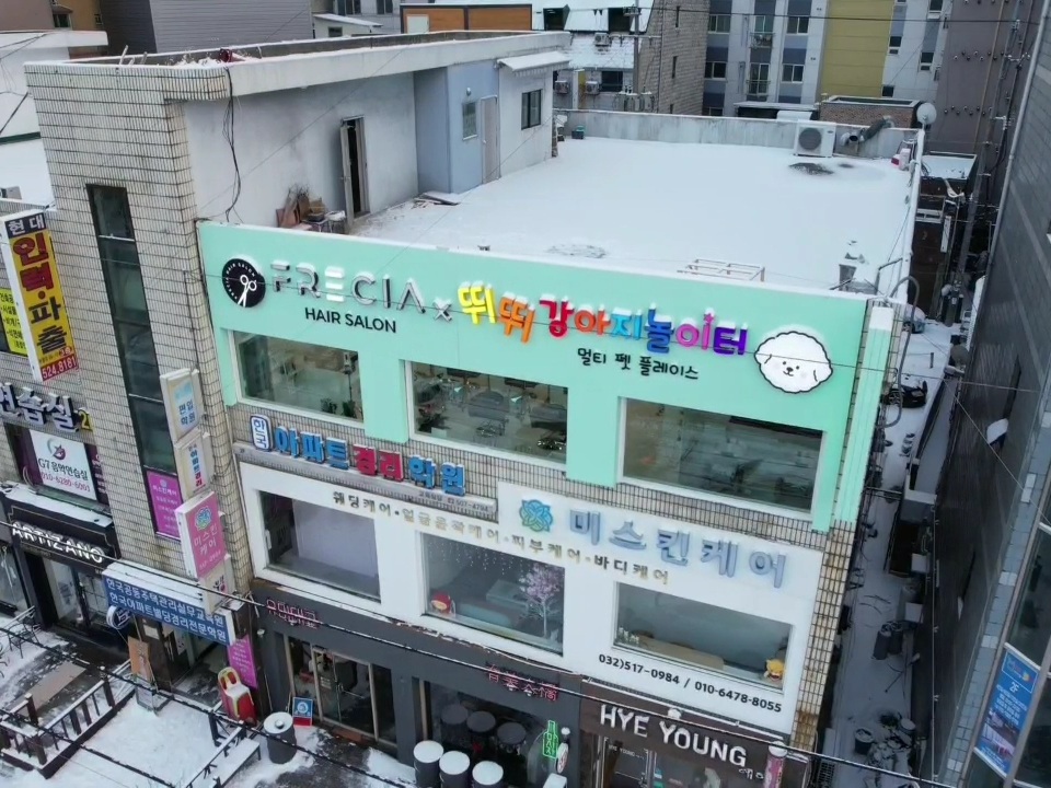 뛰뛰 강아지 놀이터