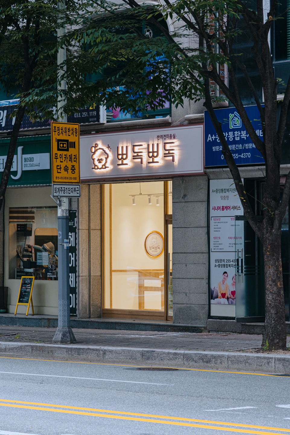 뽀독뽀독 : 반려견미용실