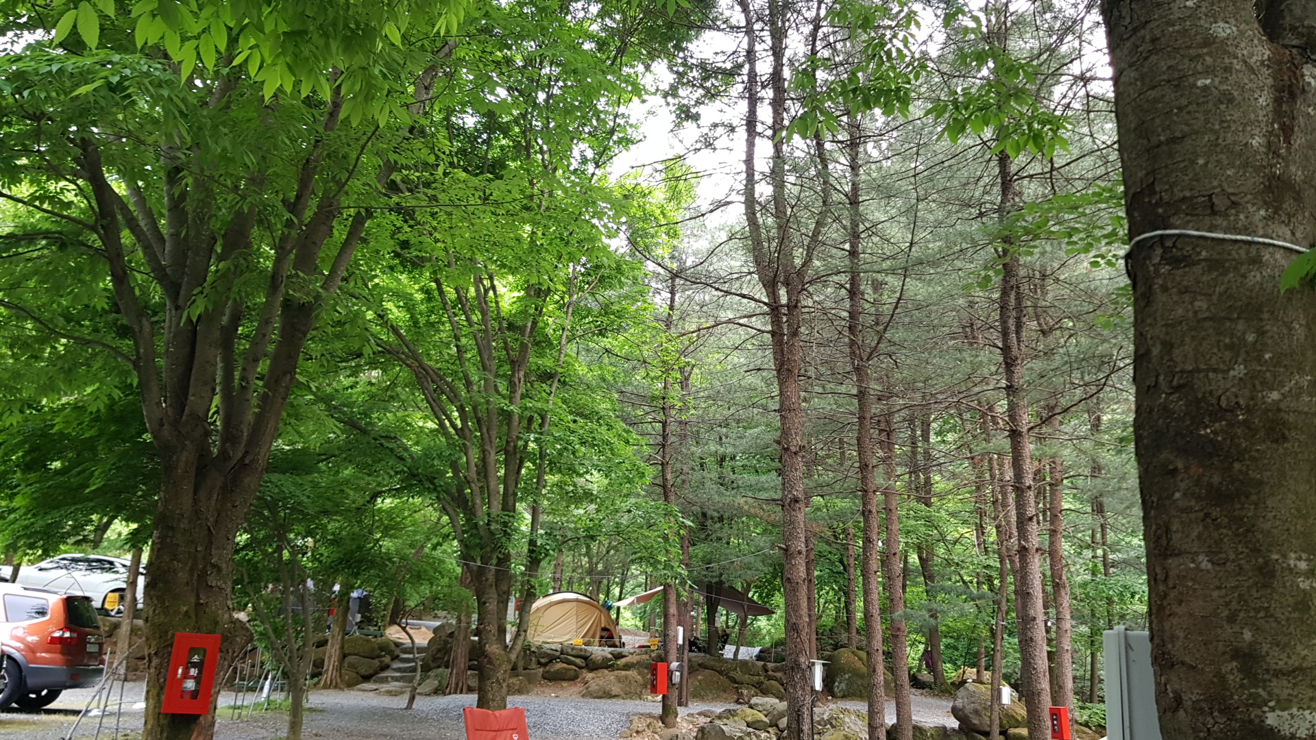 단양천동계곡캠핑장 그린농원 이미지