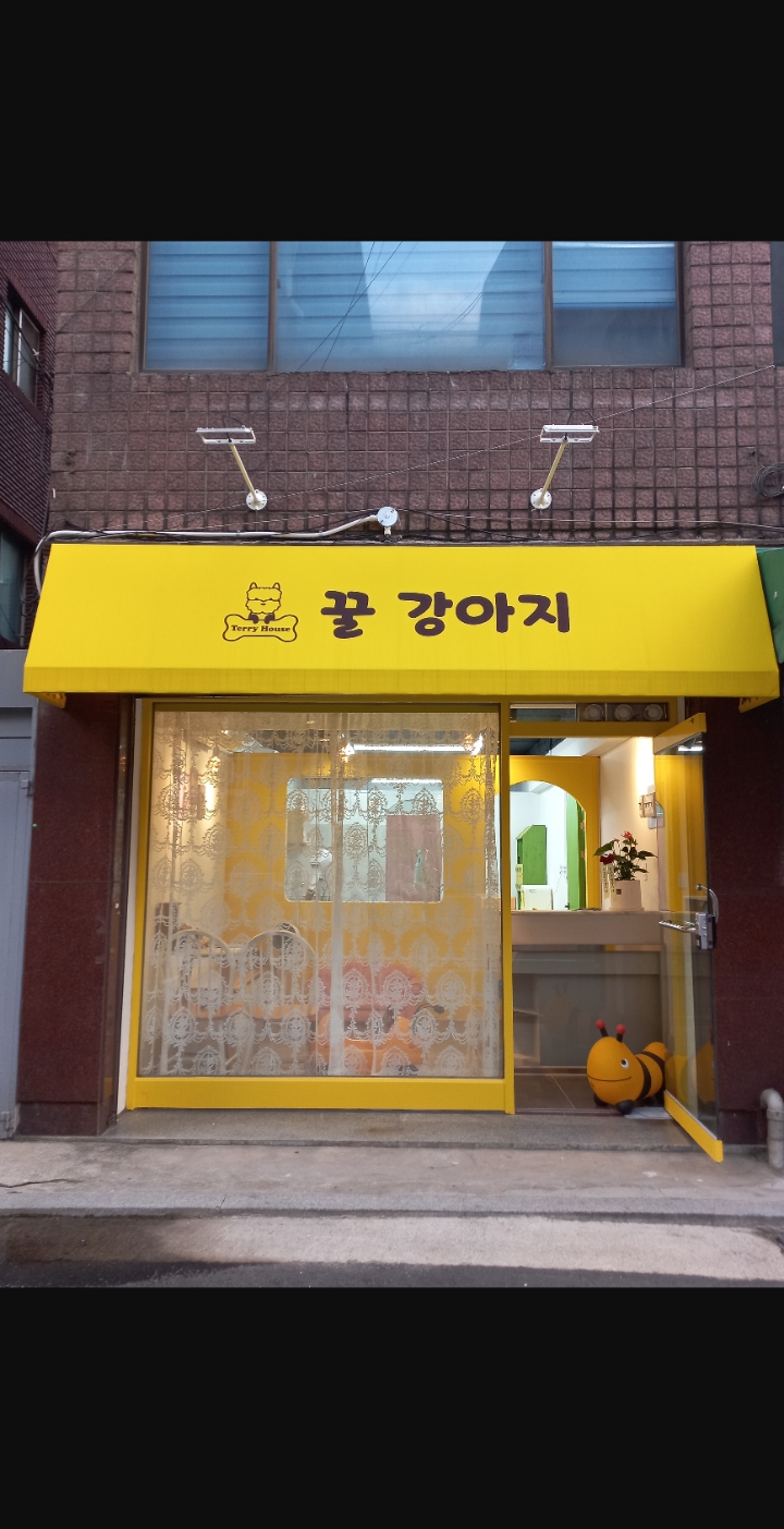 꿀강아지 테리하우스