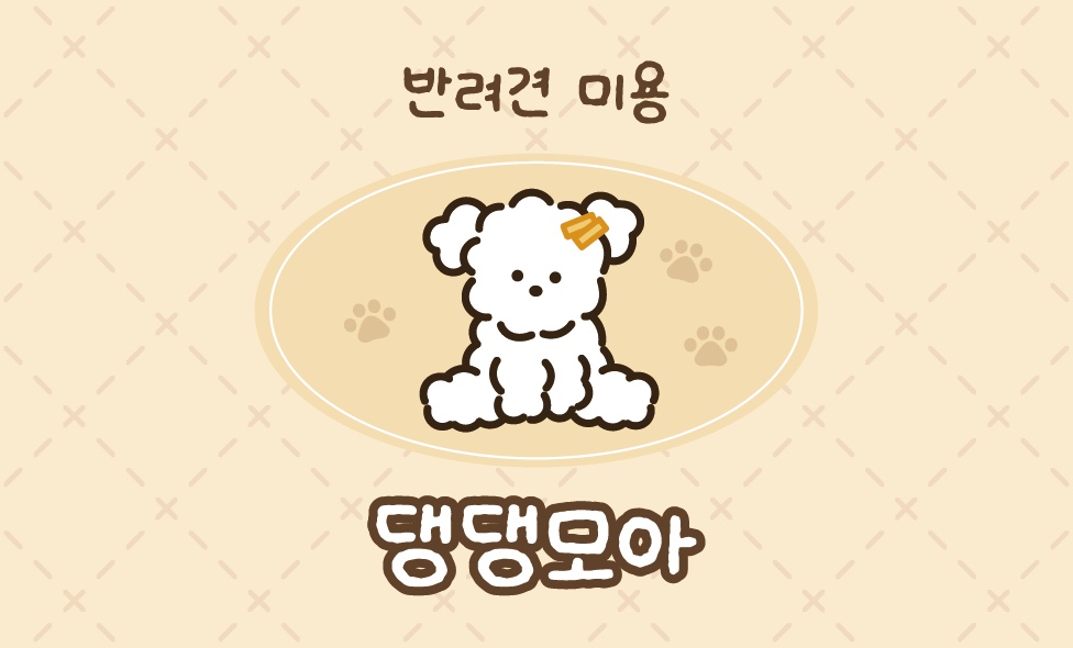 댕댕모아