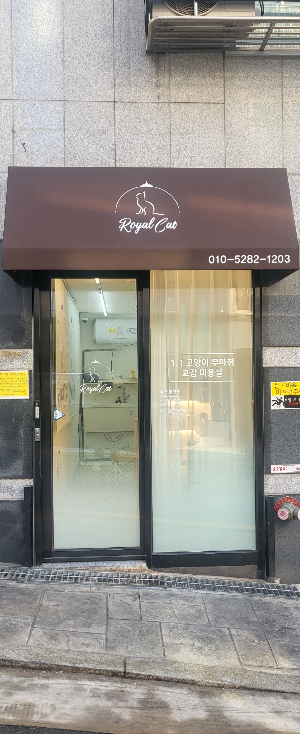 로얄캣