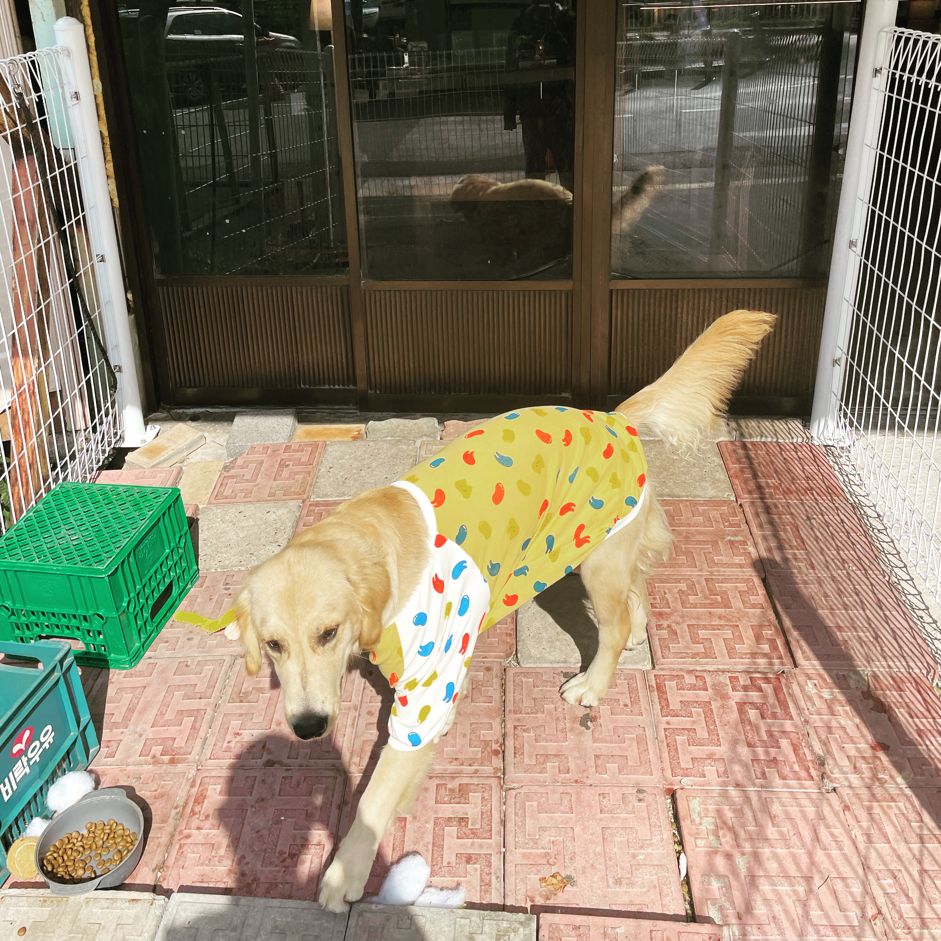 백산커피 이미지