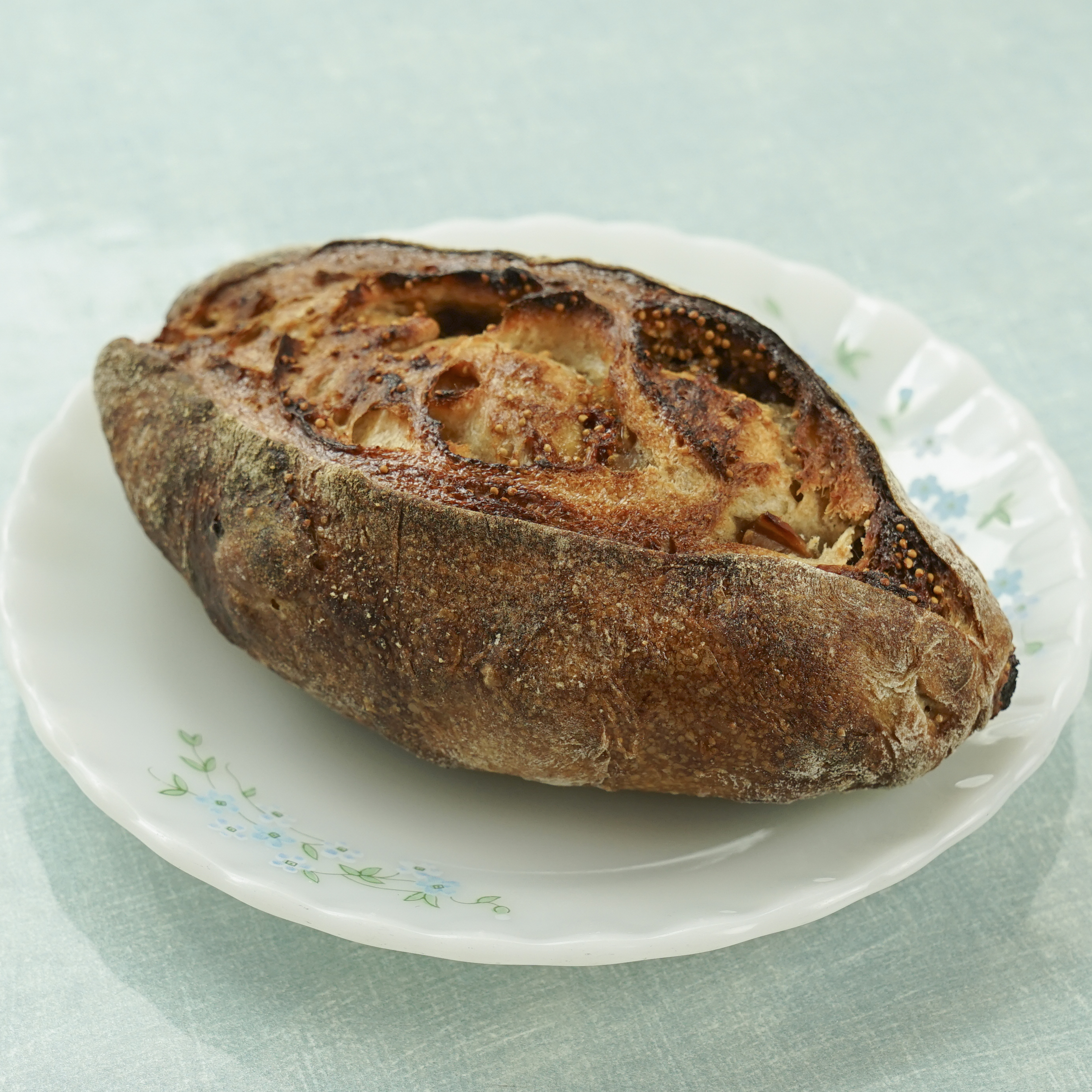 무화과 깡빠뉴