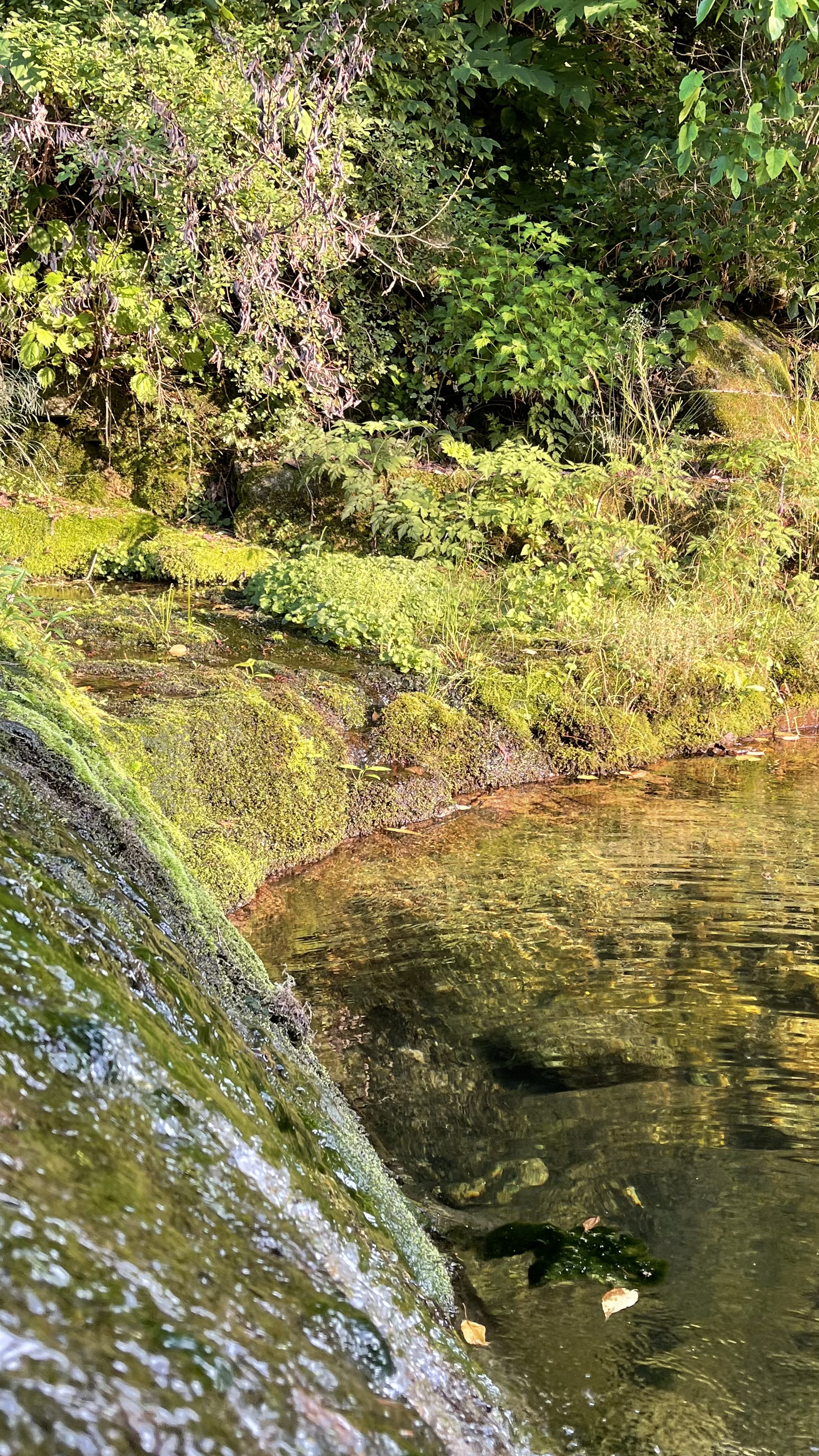 더 트리 홈 이미지