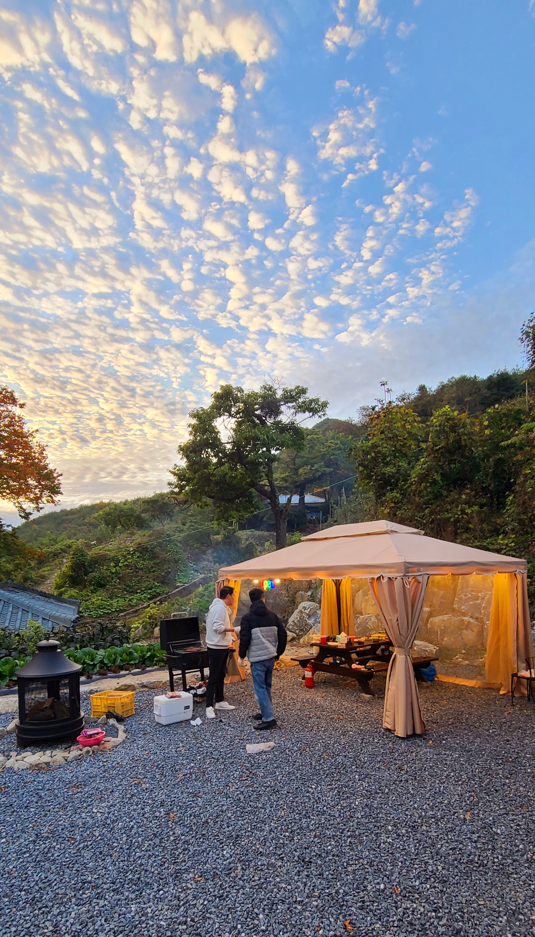 더 트리 홈 이미지