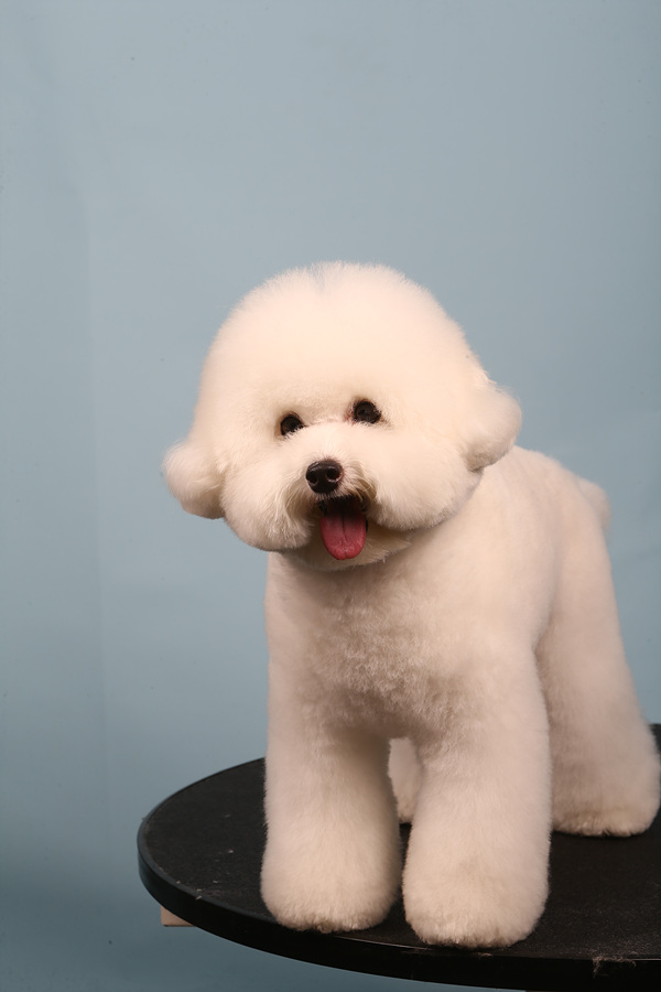 마스터그루밍클럽