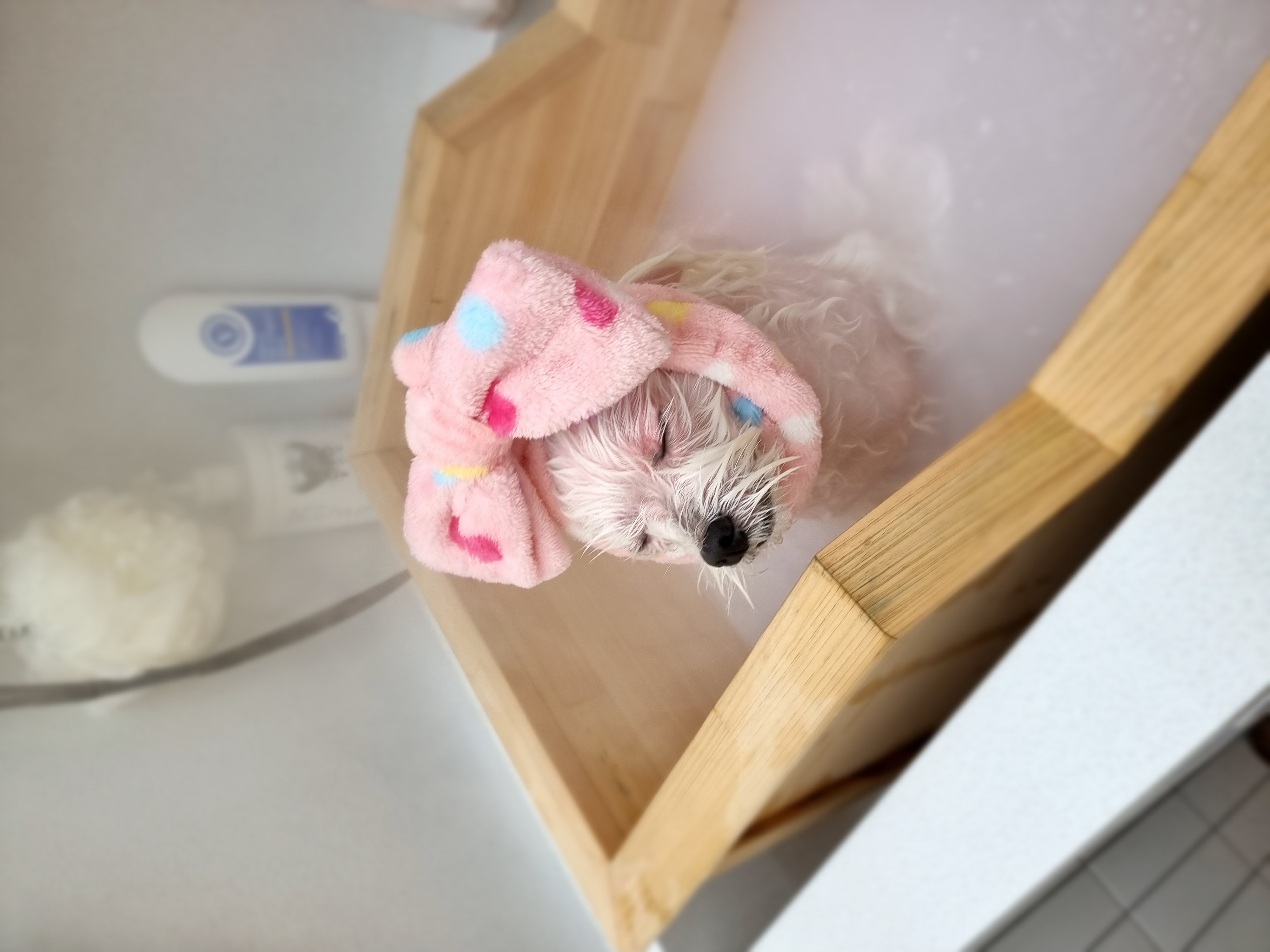 너와의 산책