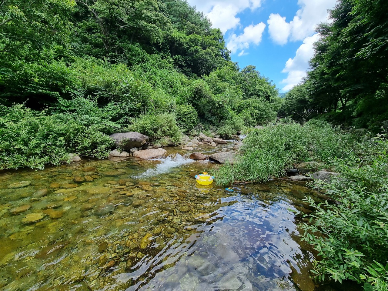 민들레펜션 이미지