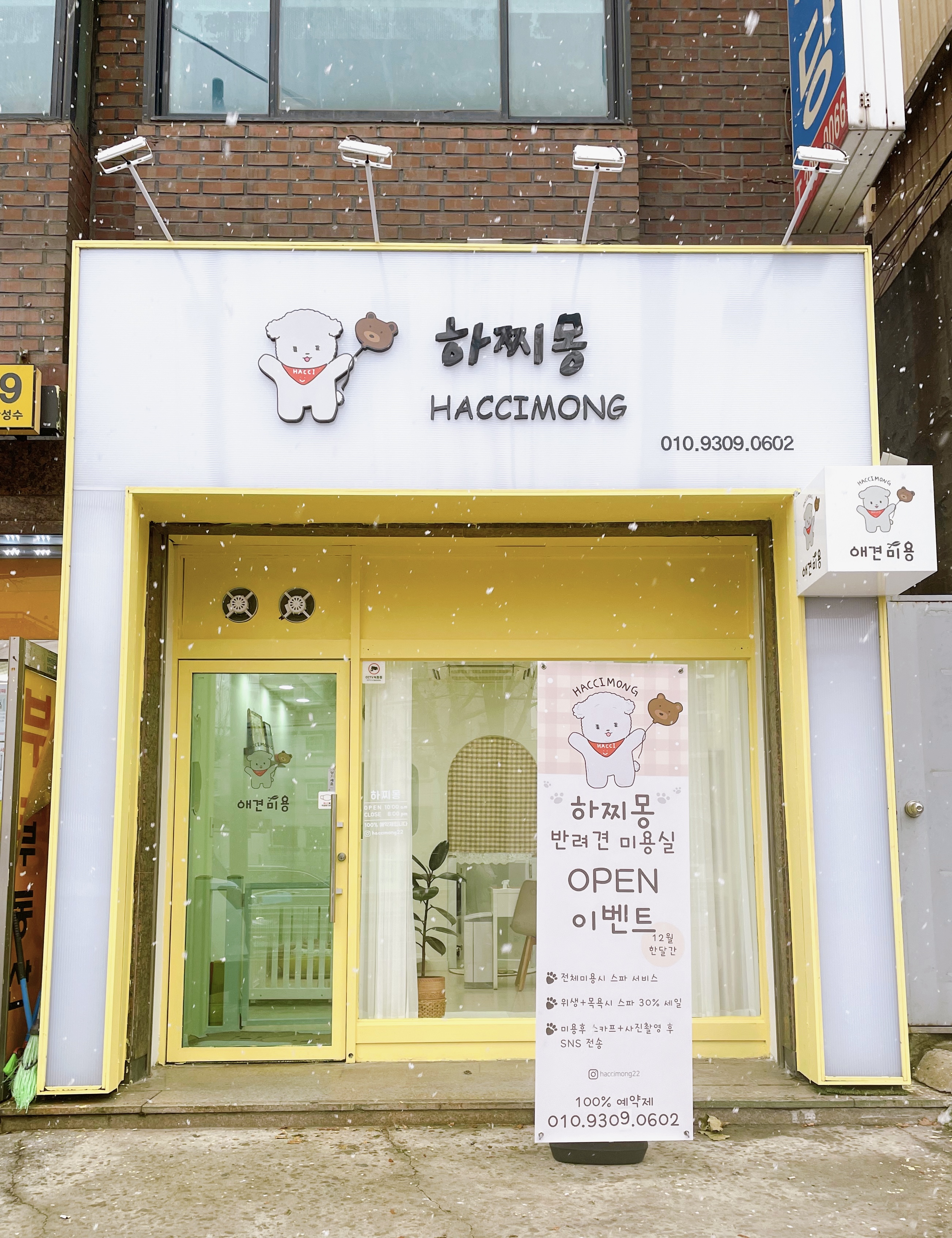 하찌몽