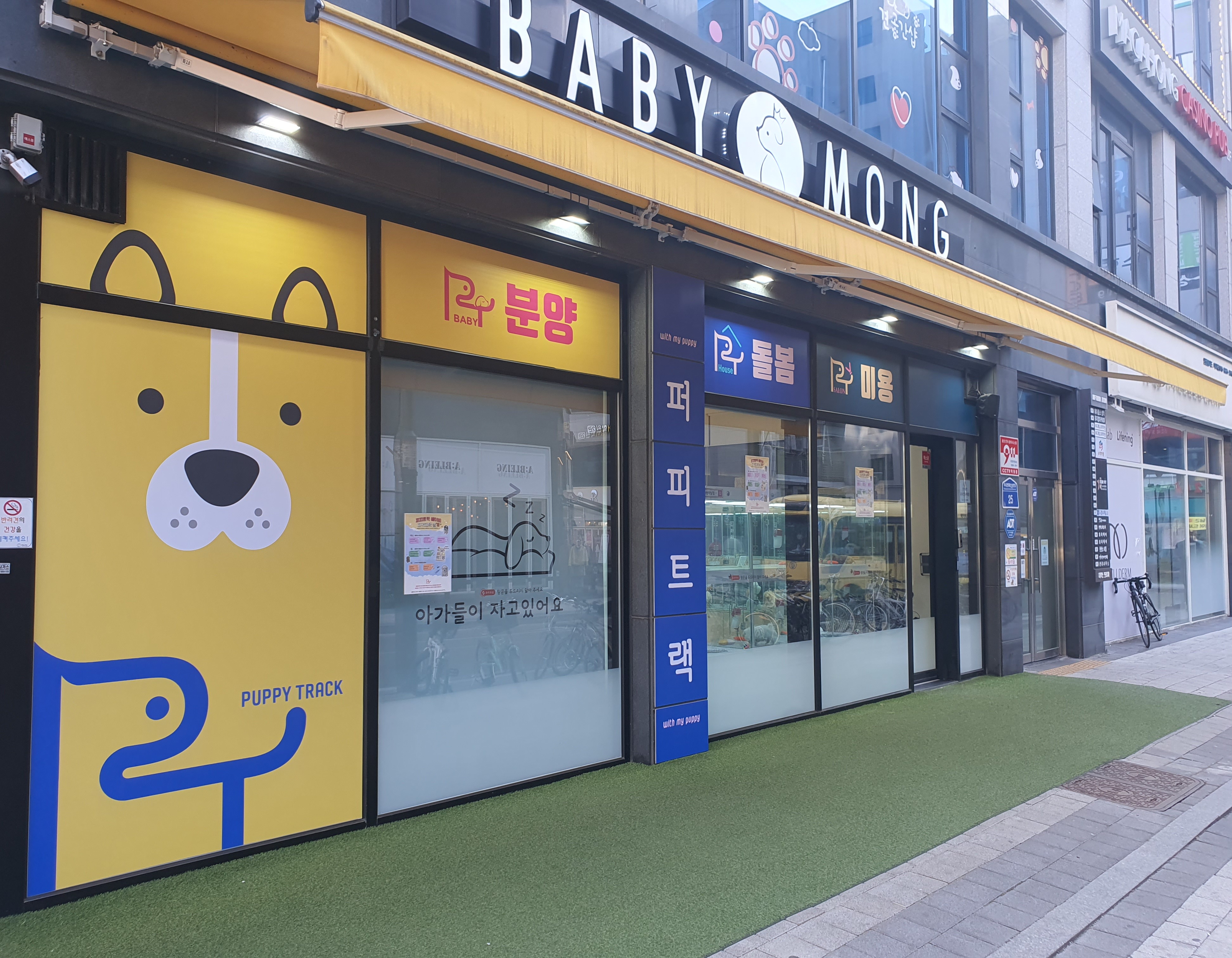 퍼피트랙