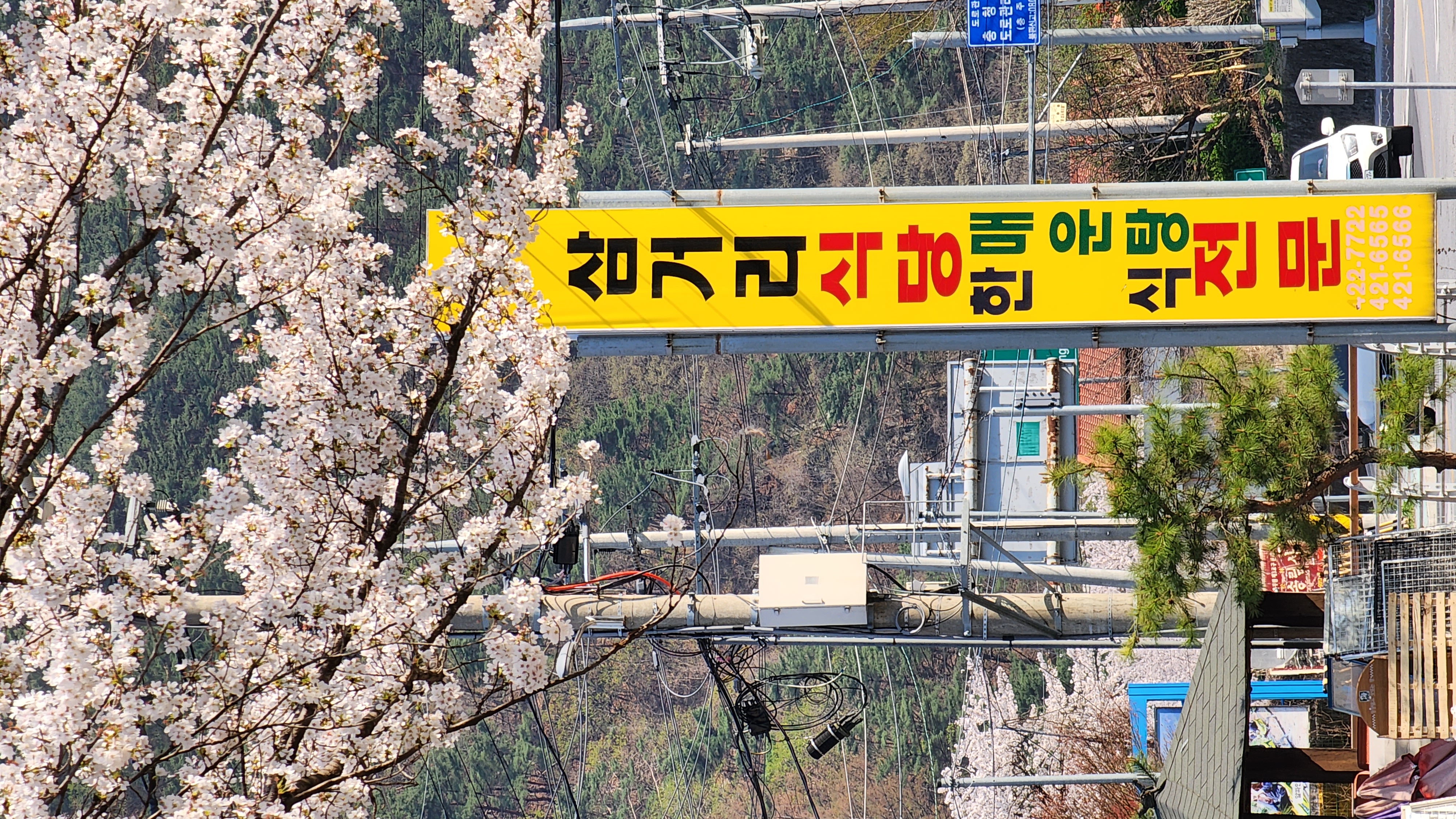 삼거리식당 이미지