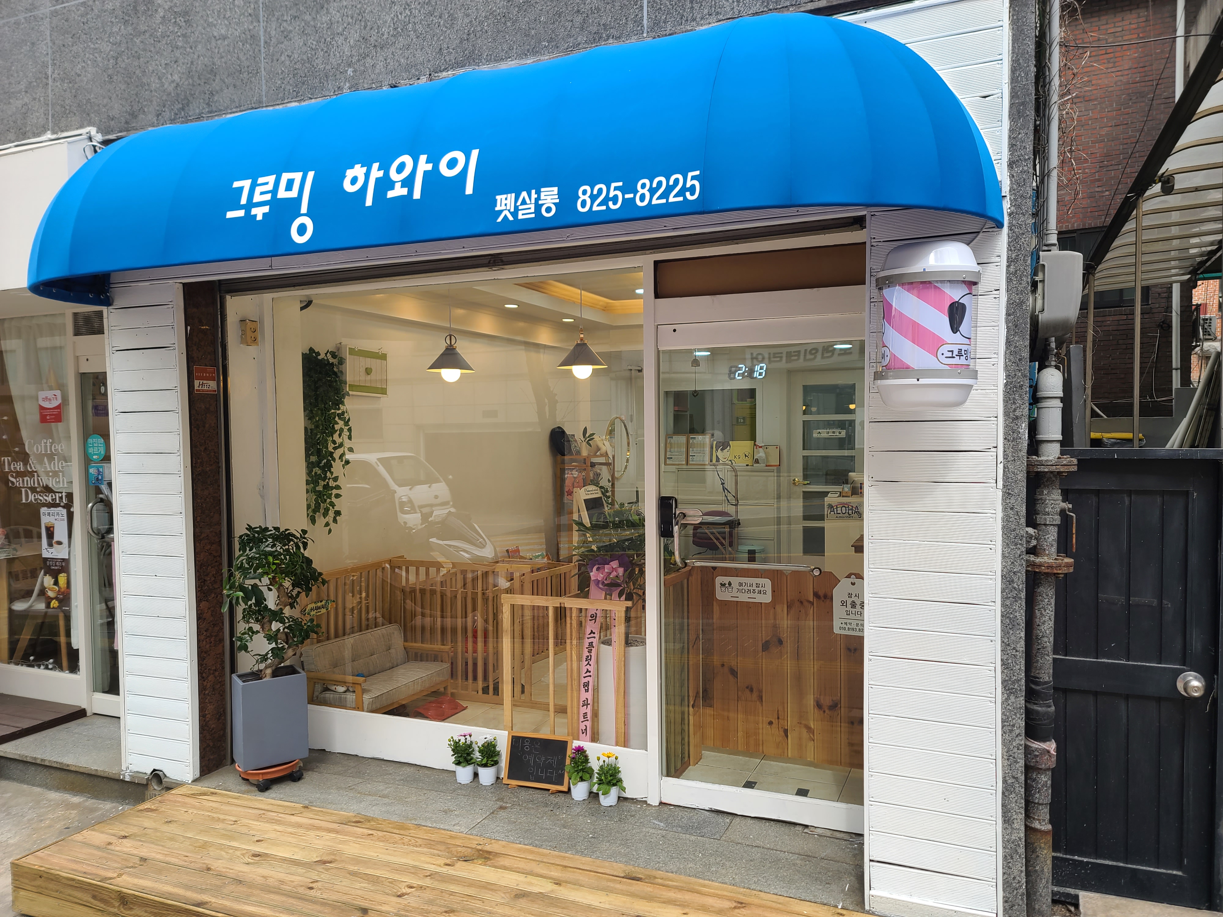 그루밍 하와이