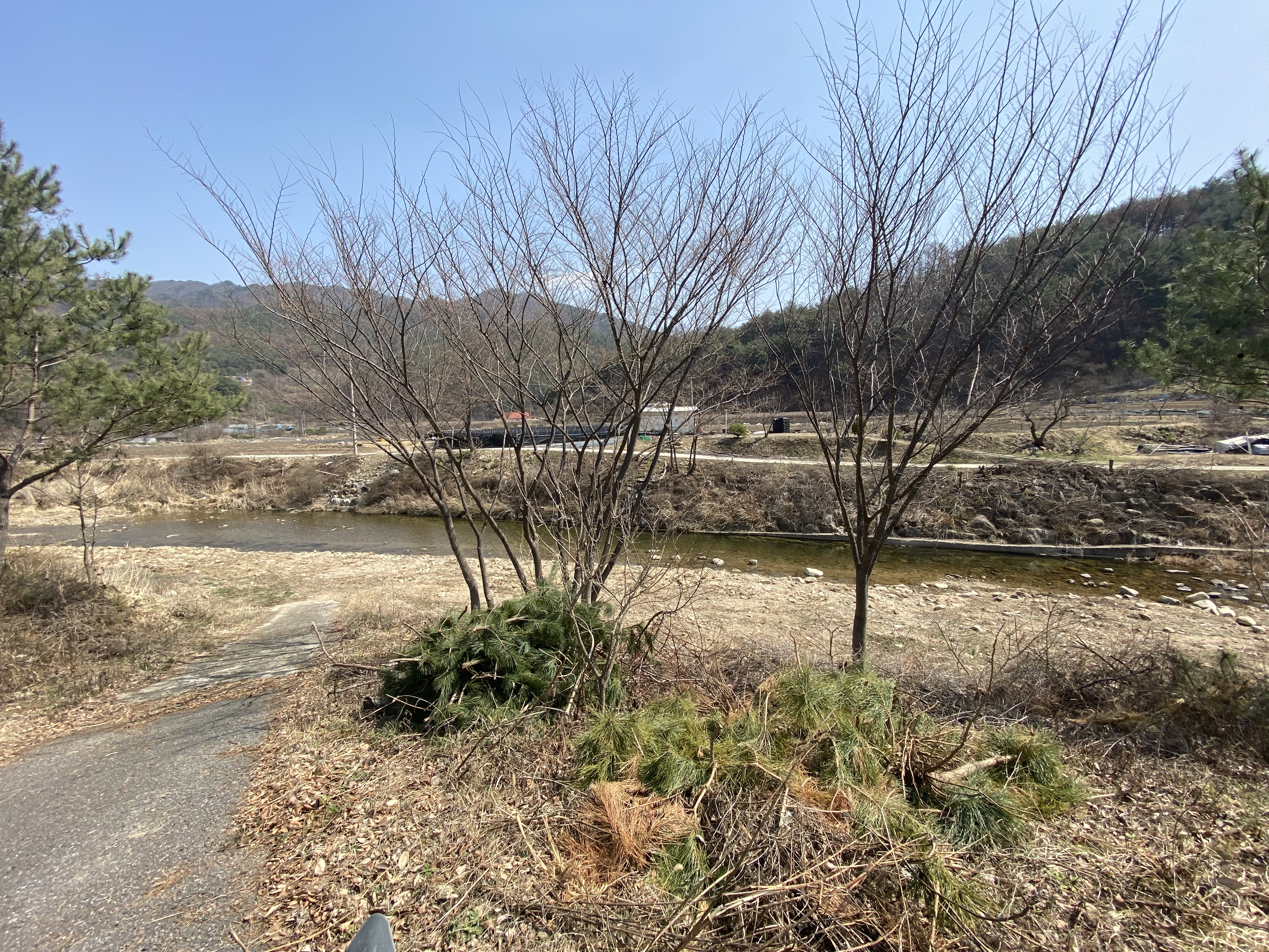 아침 햇살 민박 이미지