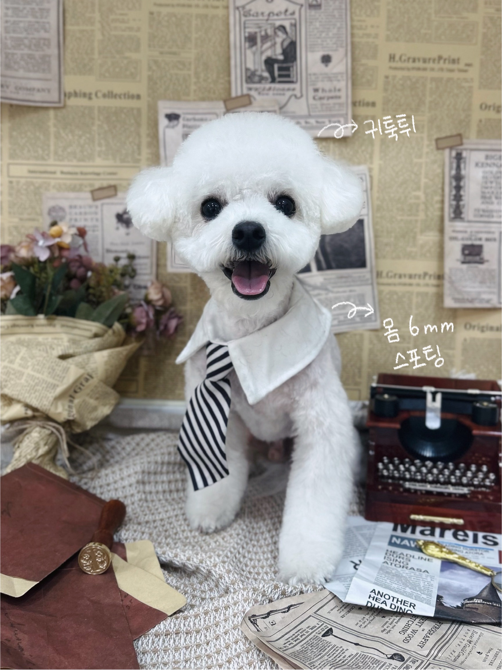 하나이누