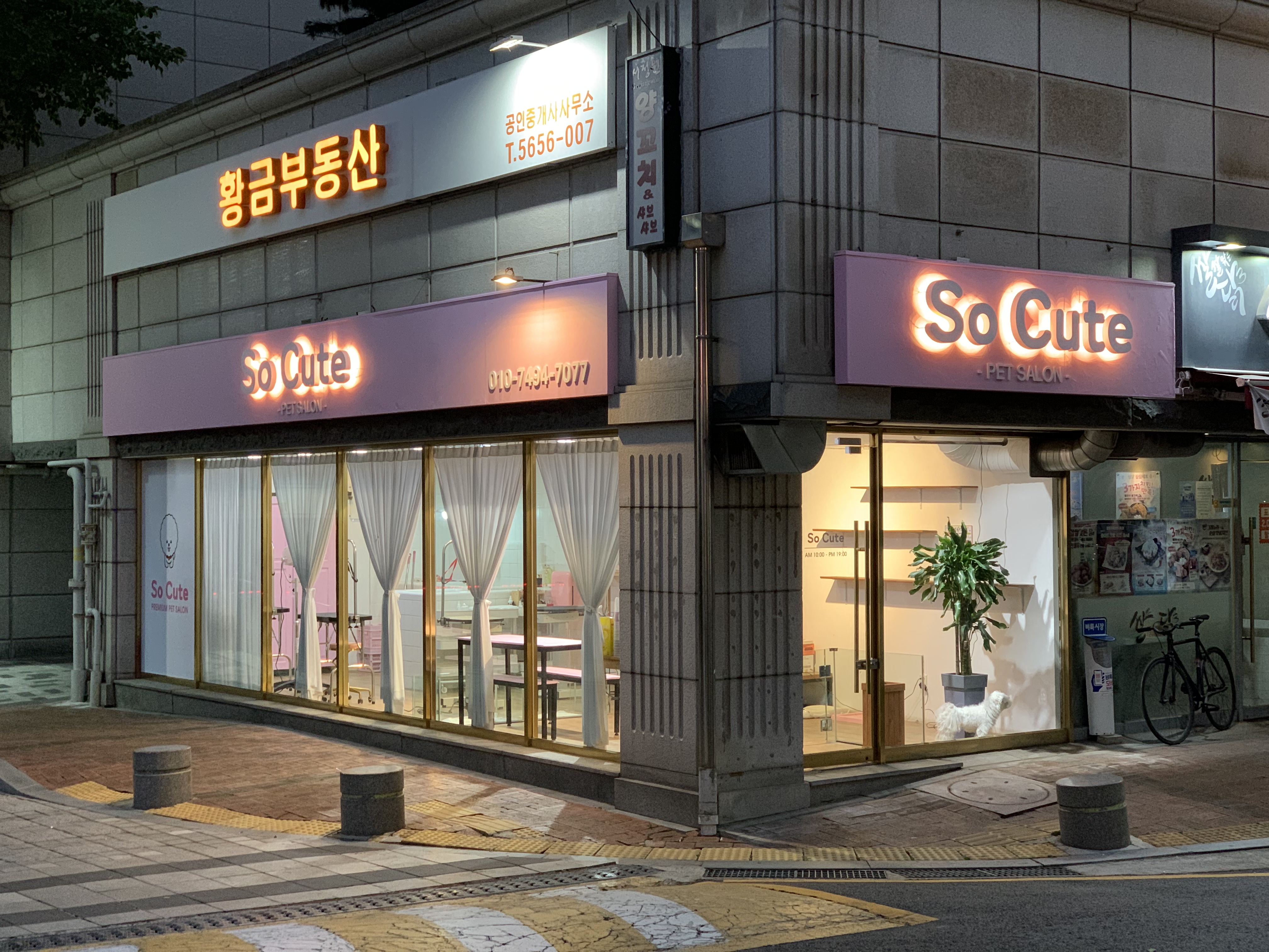 쏘큐트 펫살롱