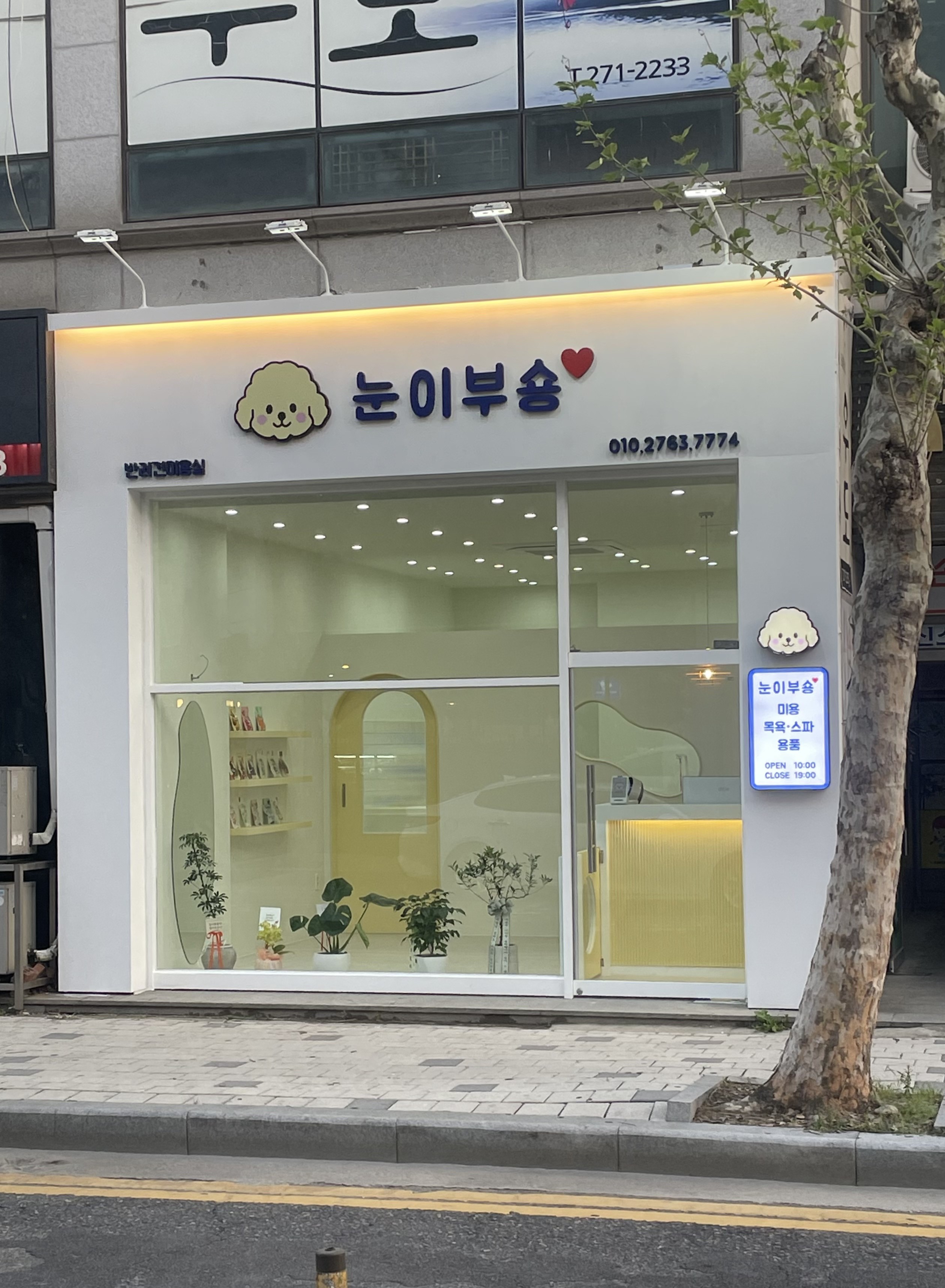 눈이부숑