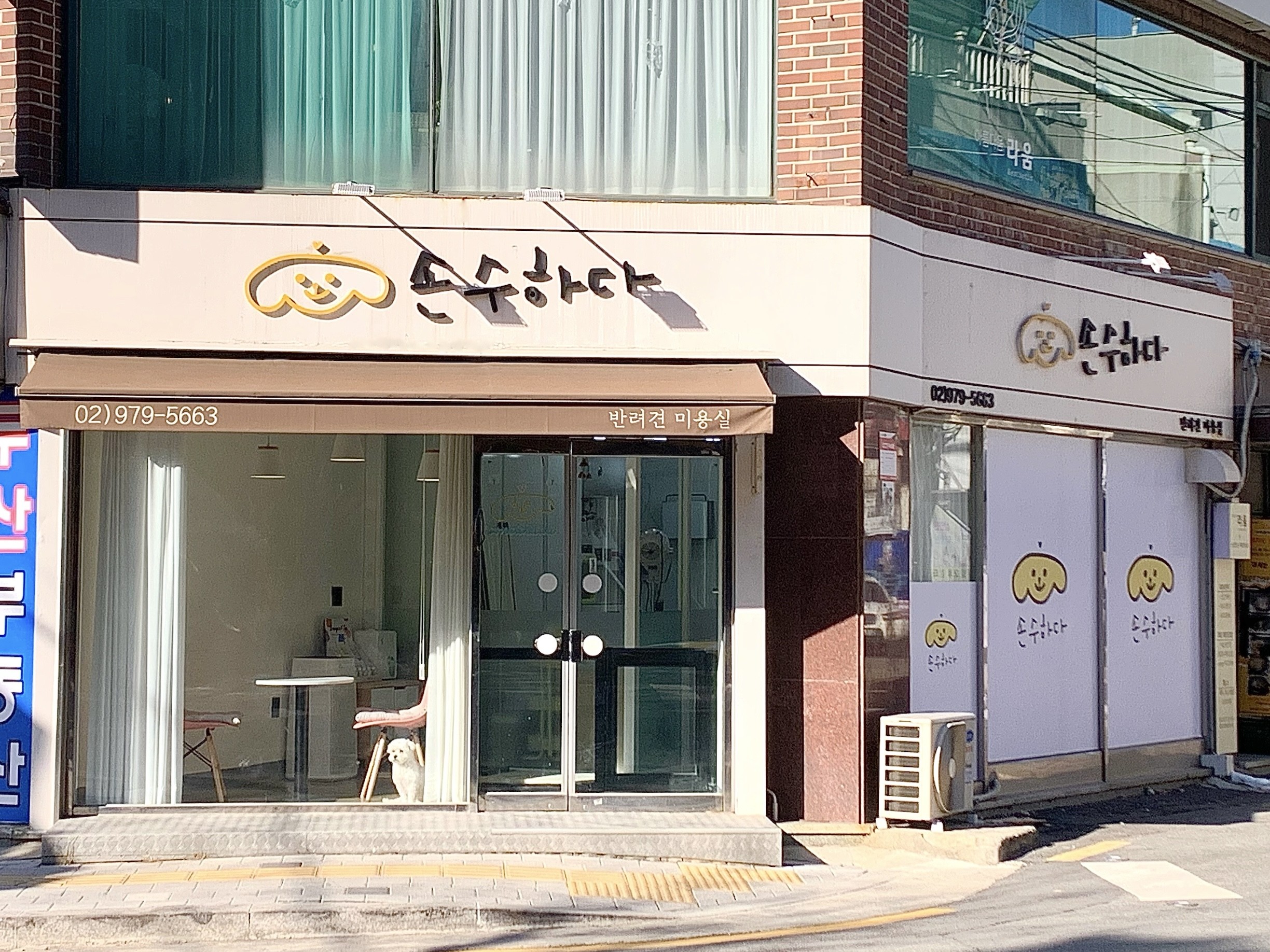 손수하다