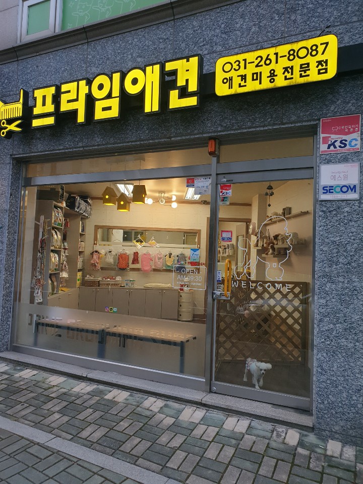 프라임 애견