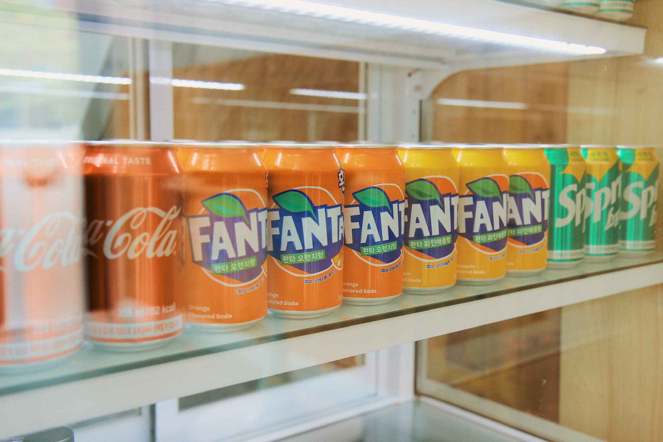 꼬마뚱김밥 이미지