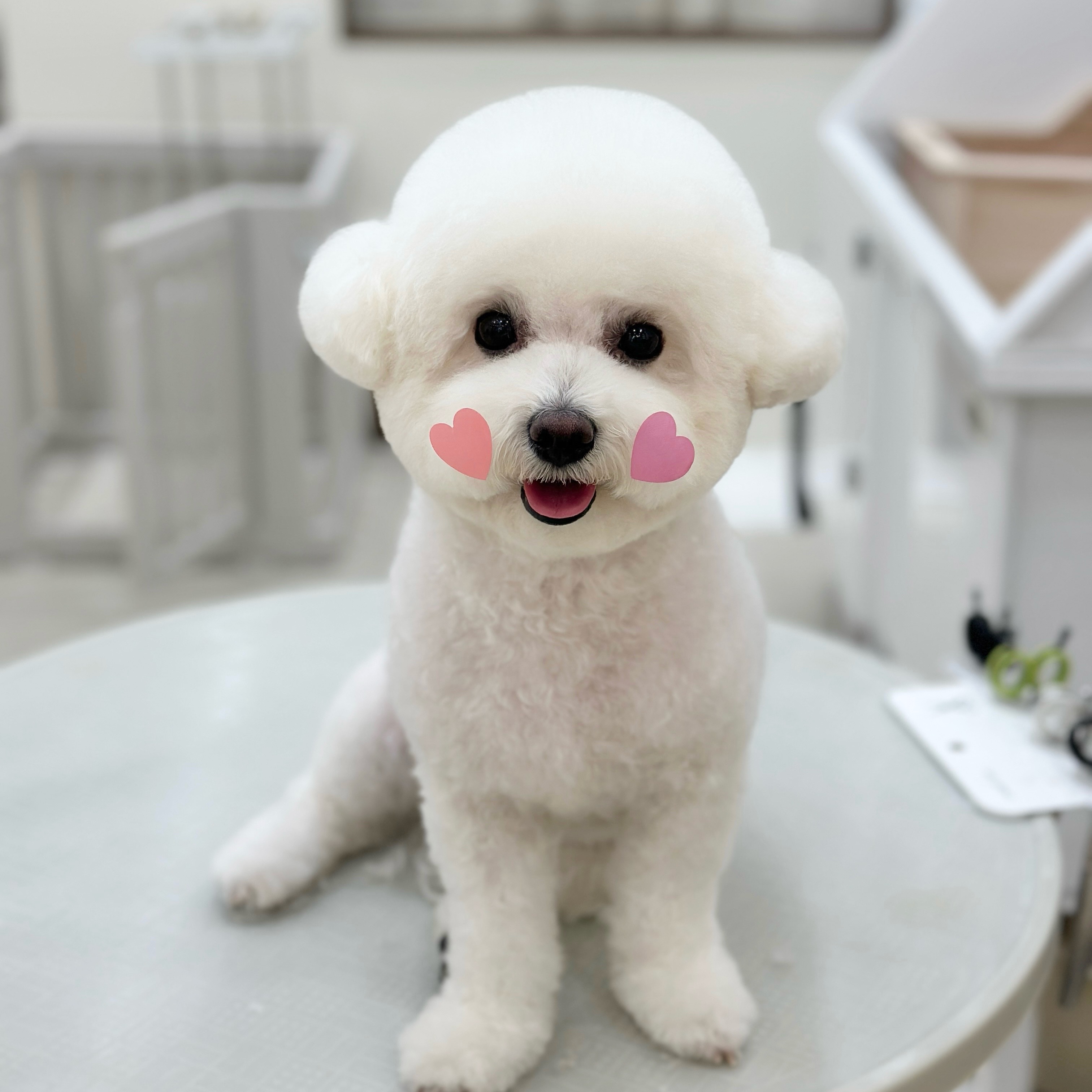 온리멈무