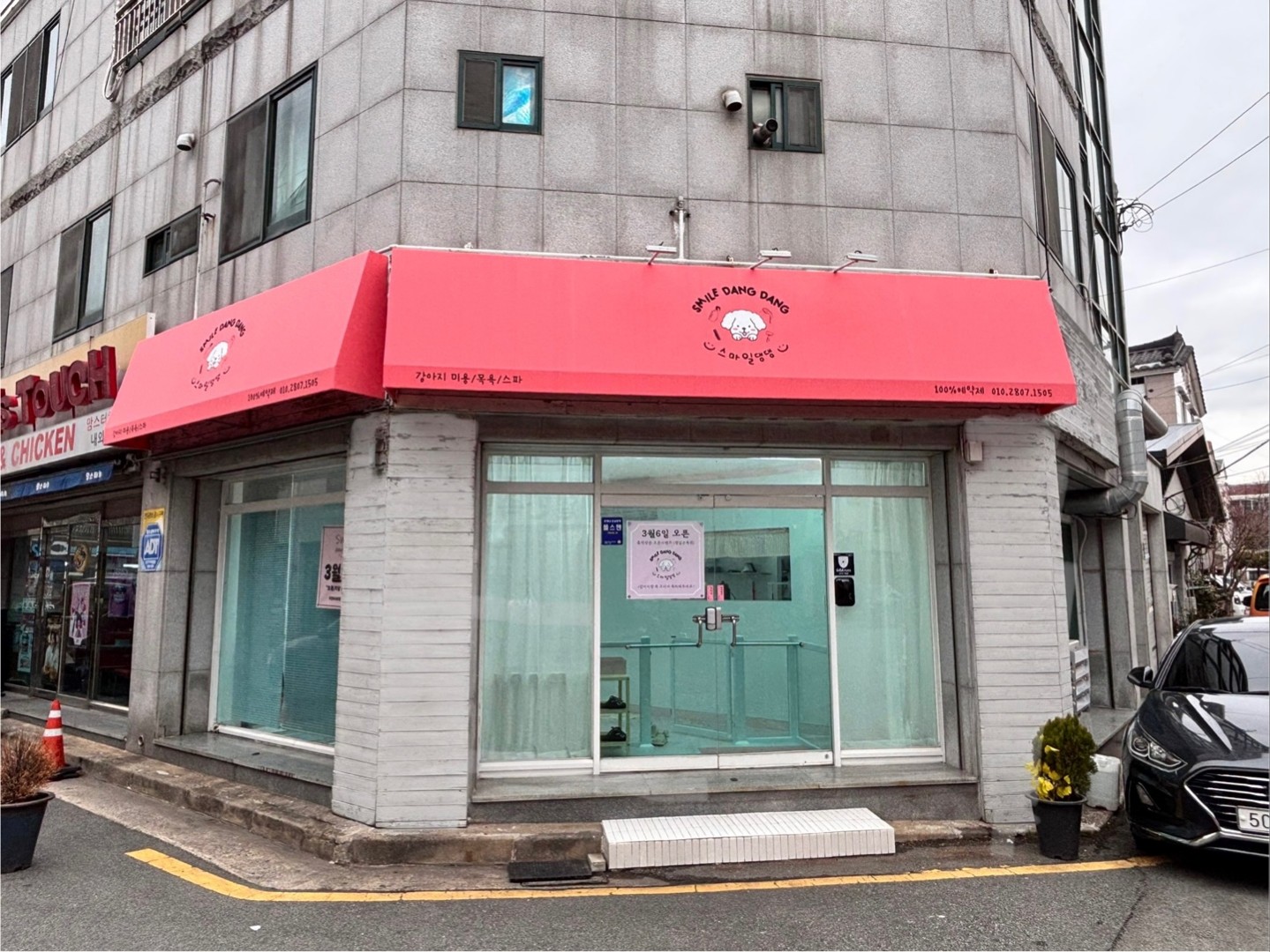 스마일댕댕