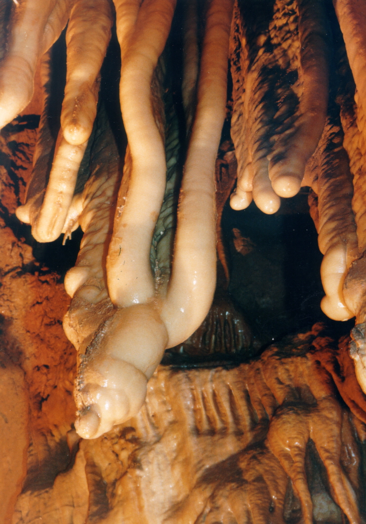 단양 고수동굴 이미지