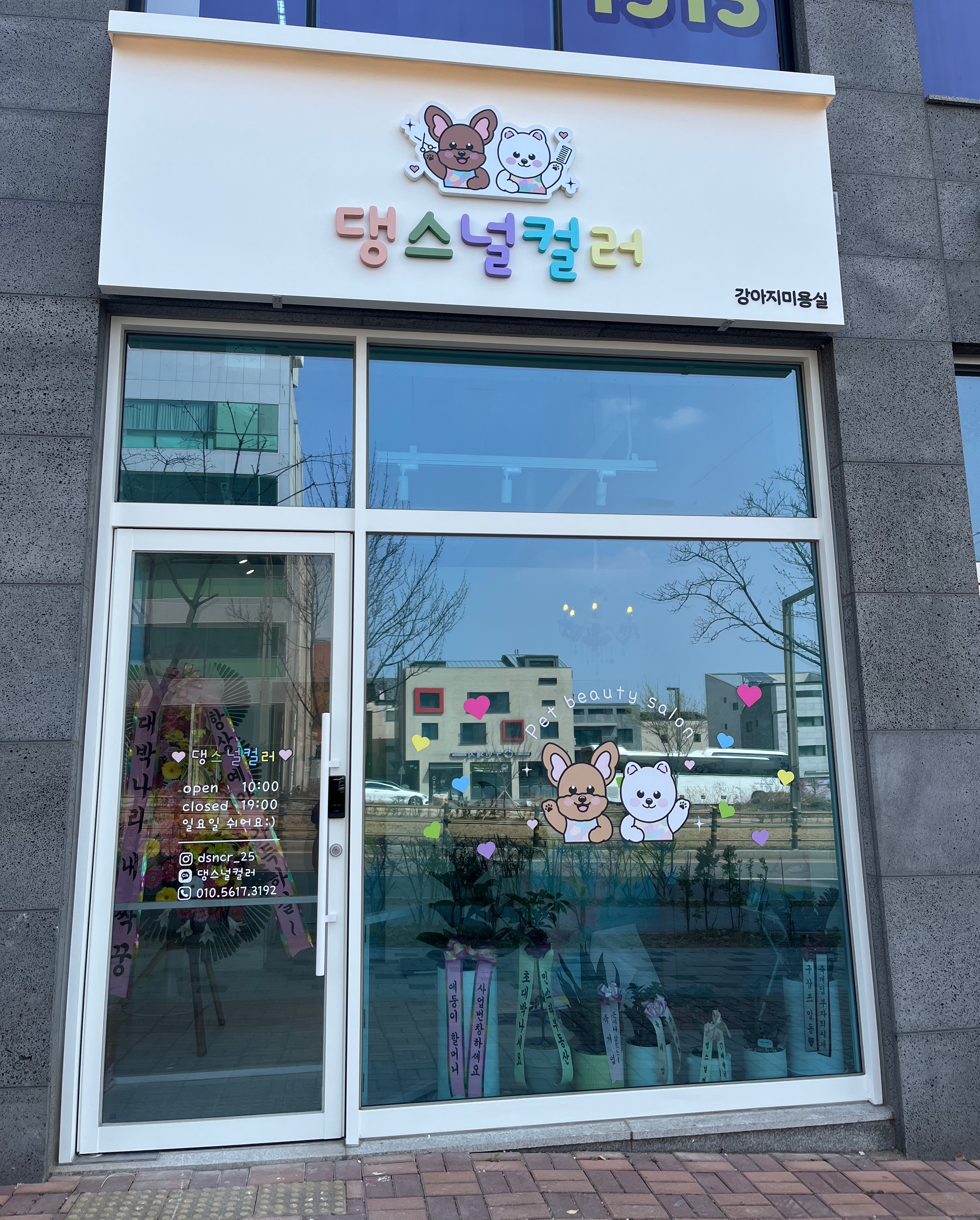 댕스널컬러